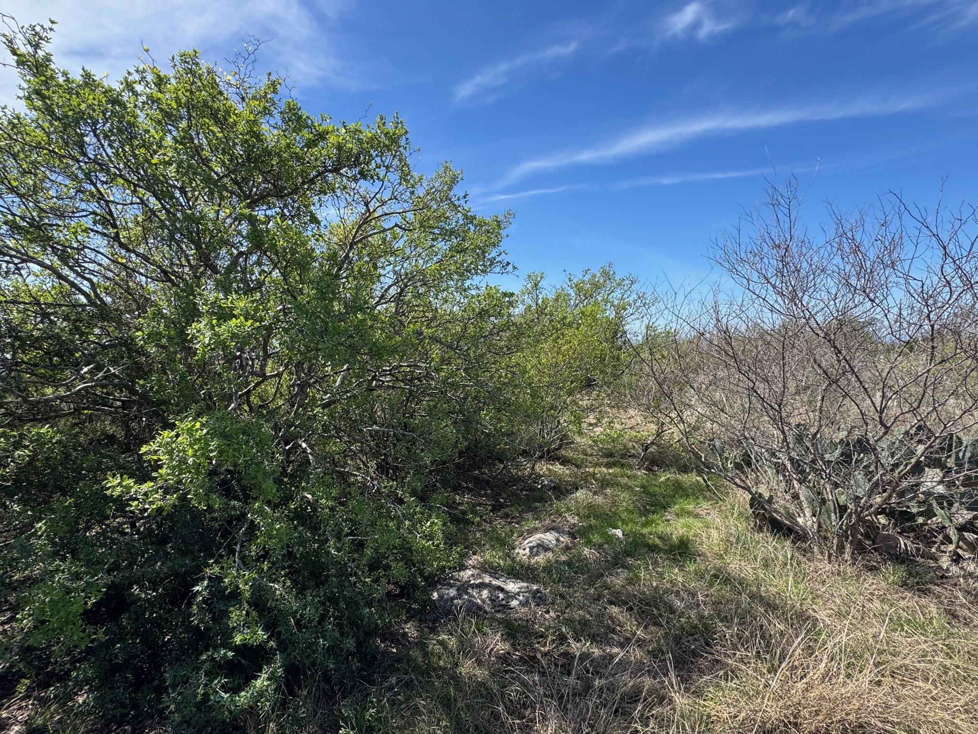 Lot 158 Sierra Dr, Bertram, TX 78605