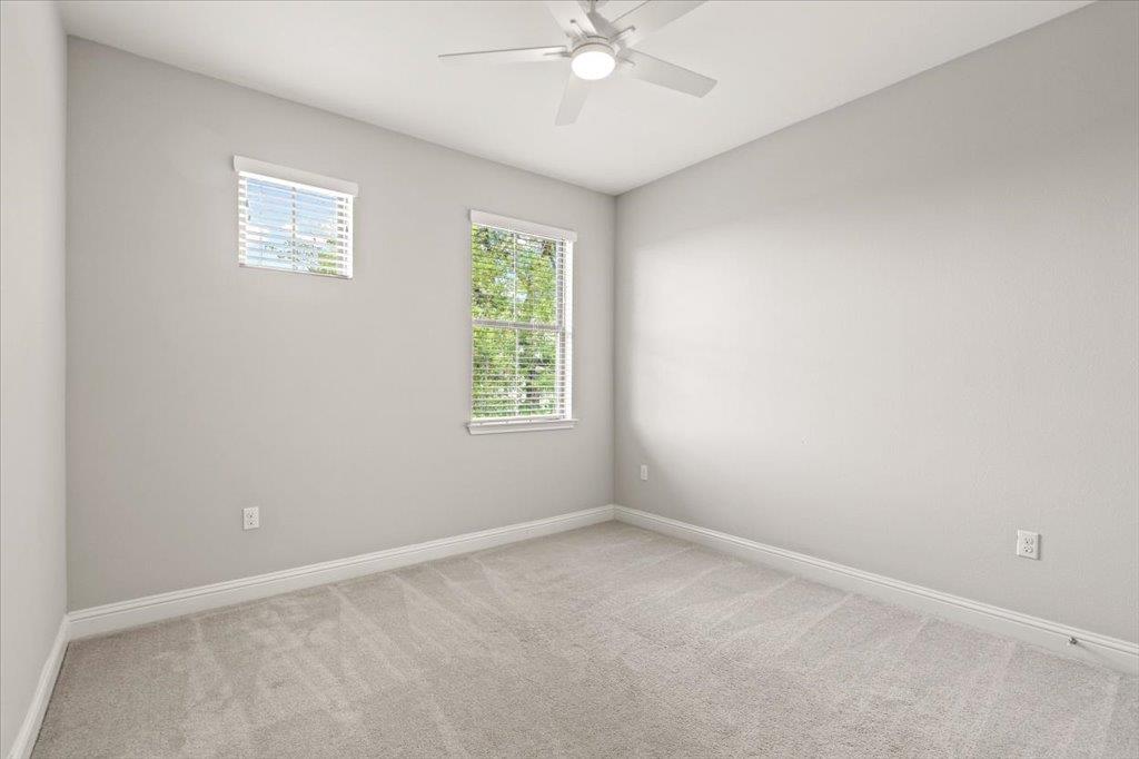 13208 Cardinal Flower Dr, Austin, TX 78739