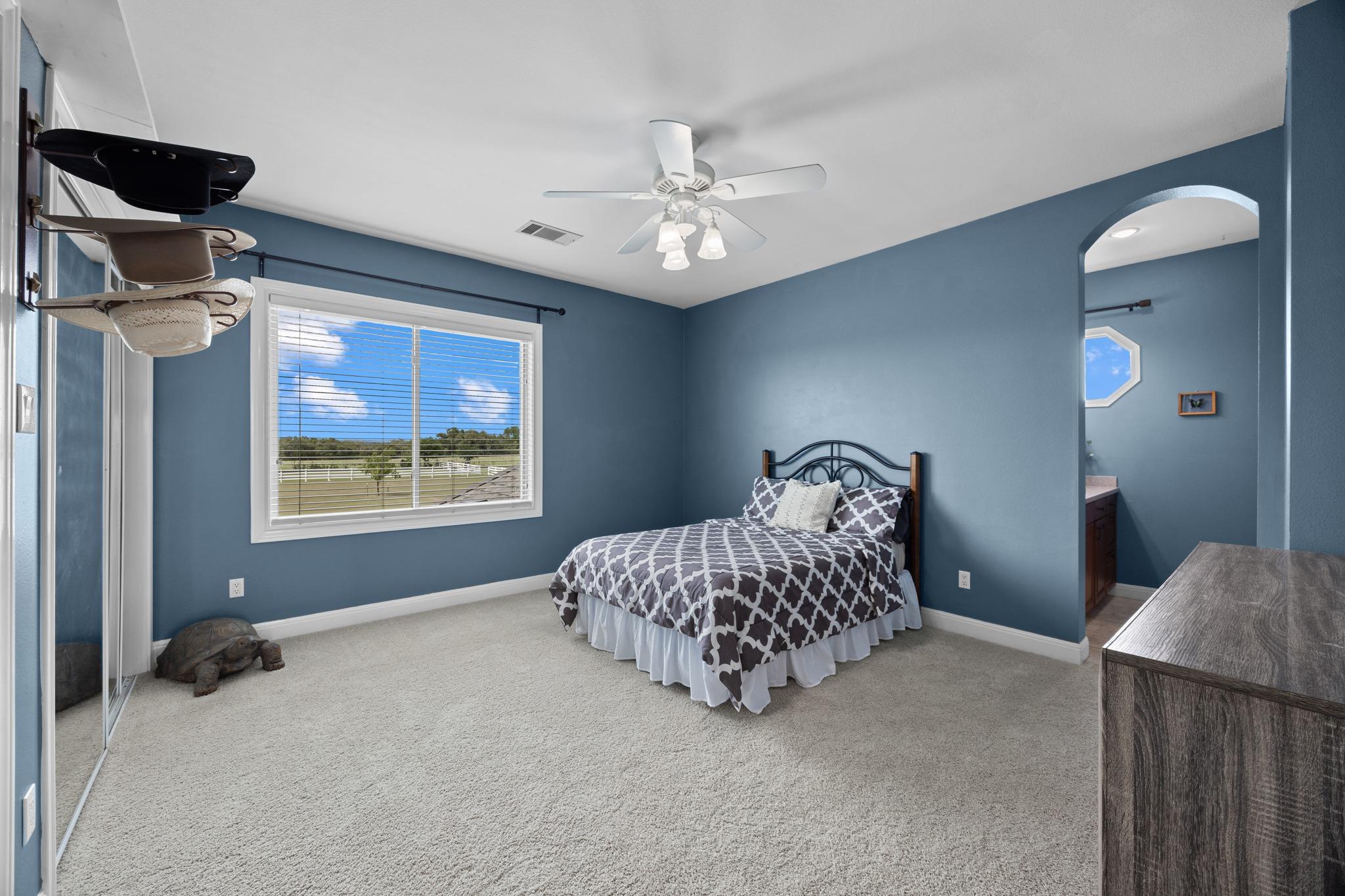 341 Courtnees Way, Georgetown, TX 78626