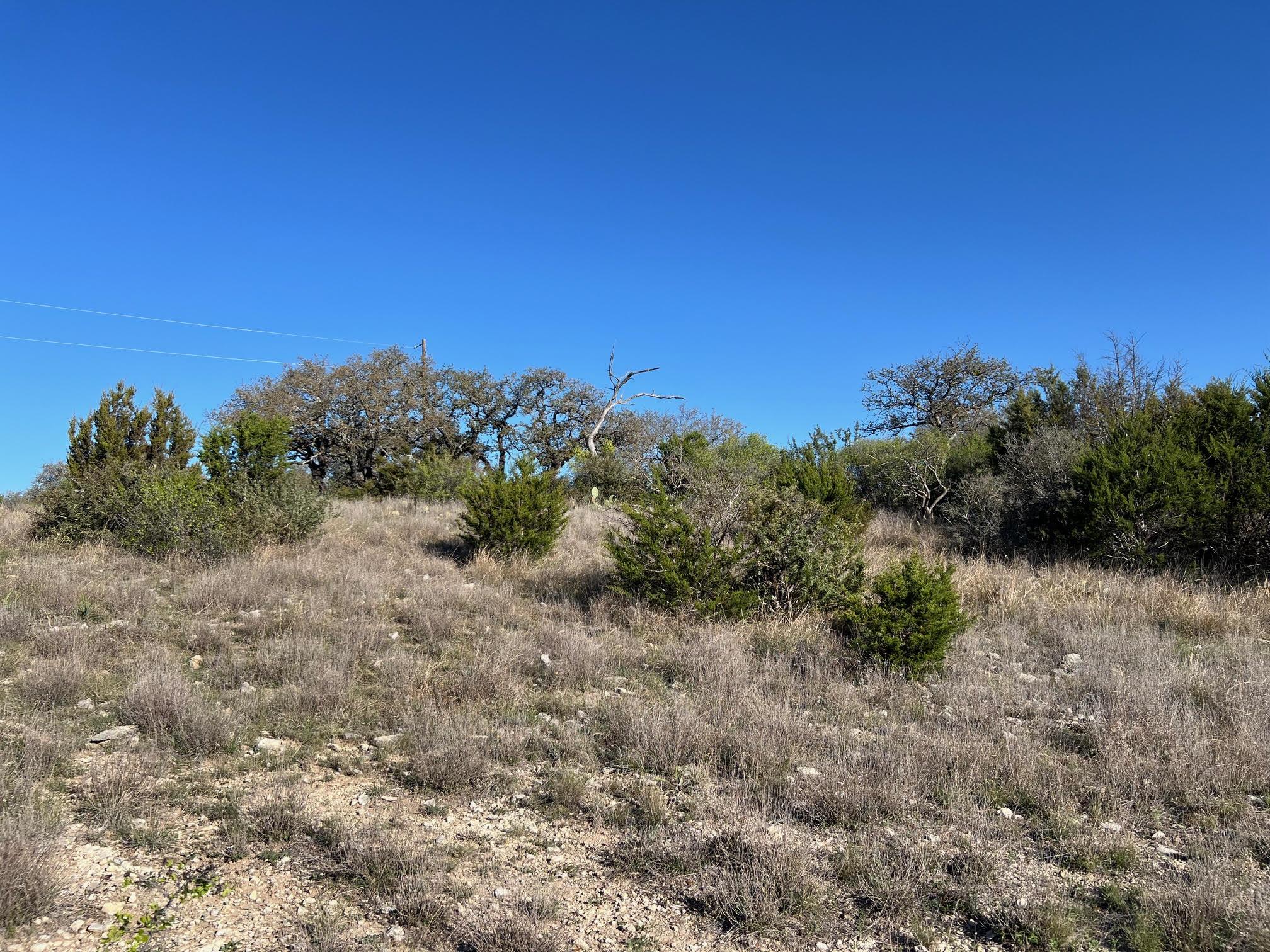 Lot 78 Bluff View Rd, Kempner, TX 76539