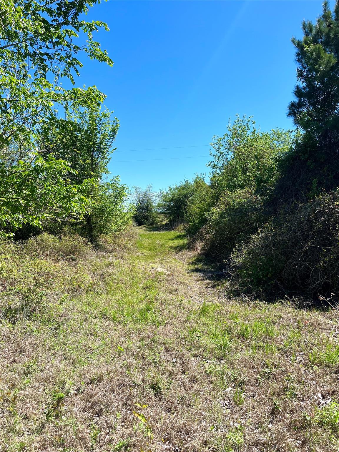 2654 County Road 329, Lincoln, TX 78948