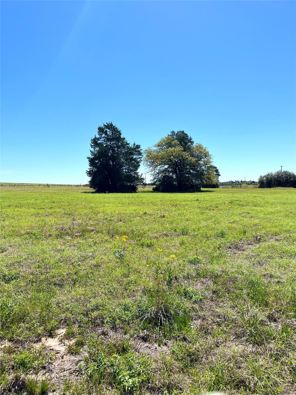 2654 County Road 329, Lincoln, TX 78948