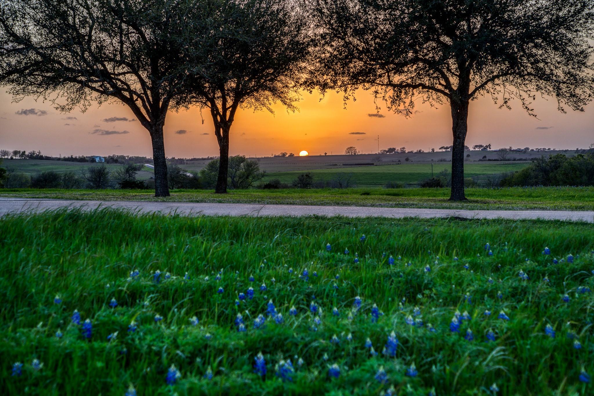 20383 State Highway 159 W, New Ulm, TX 78950