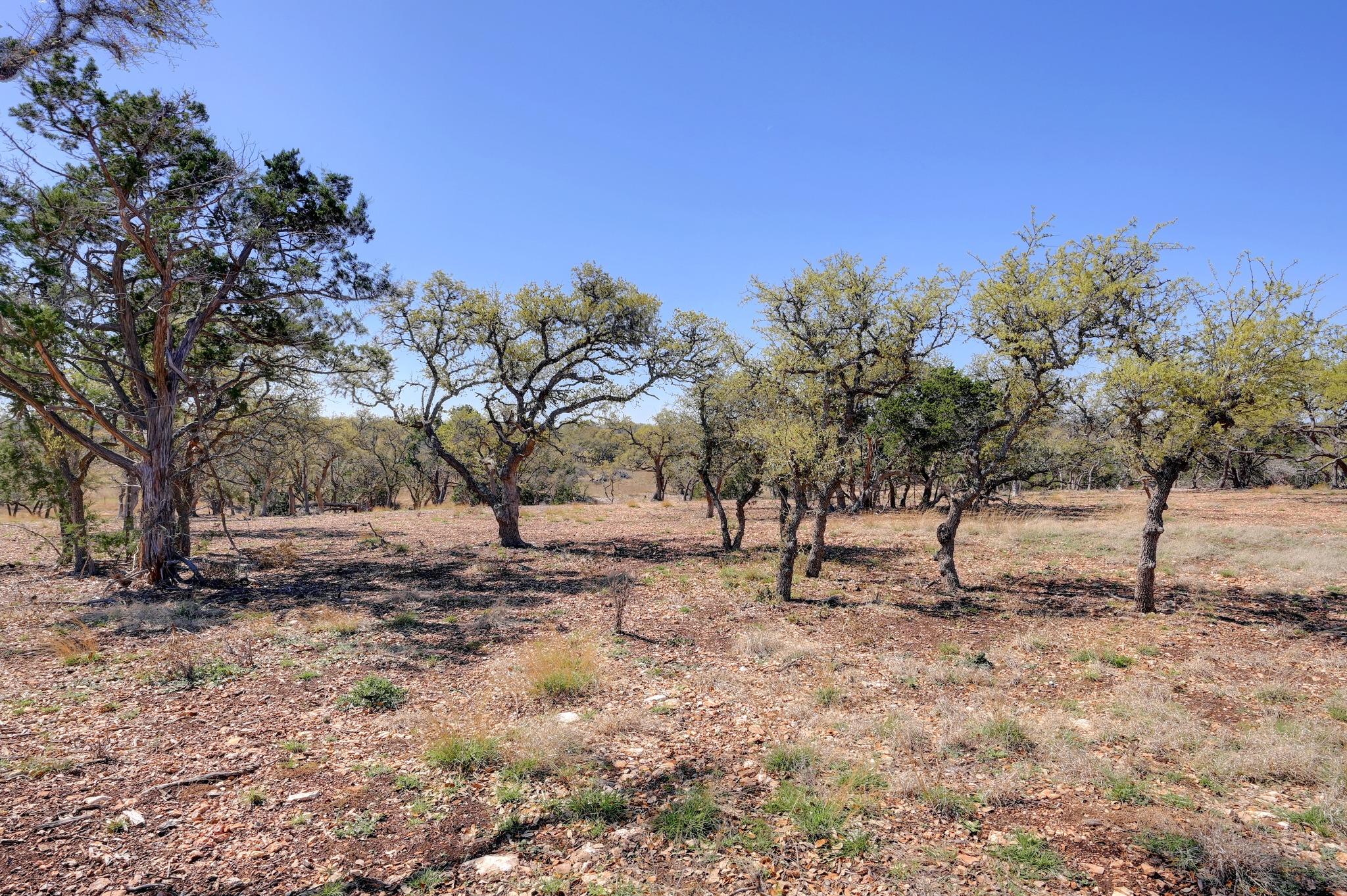 2803 Zenner Ahrens Rd, Fredericksburg, TX 78624