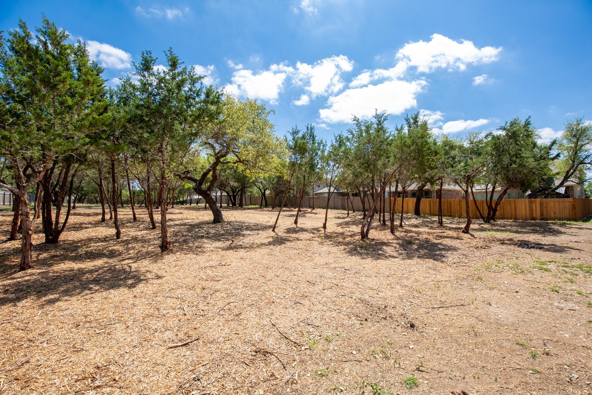 2401 Yaupon Range Dr, Leander, TX 78641