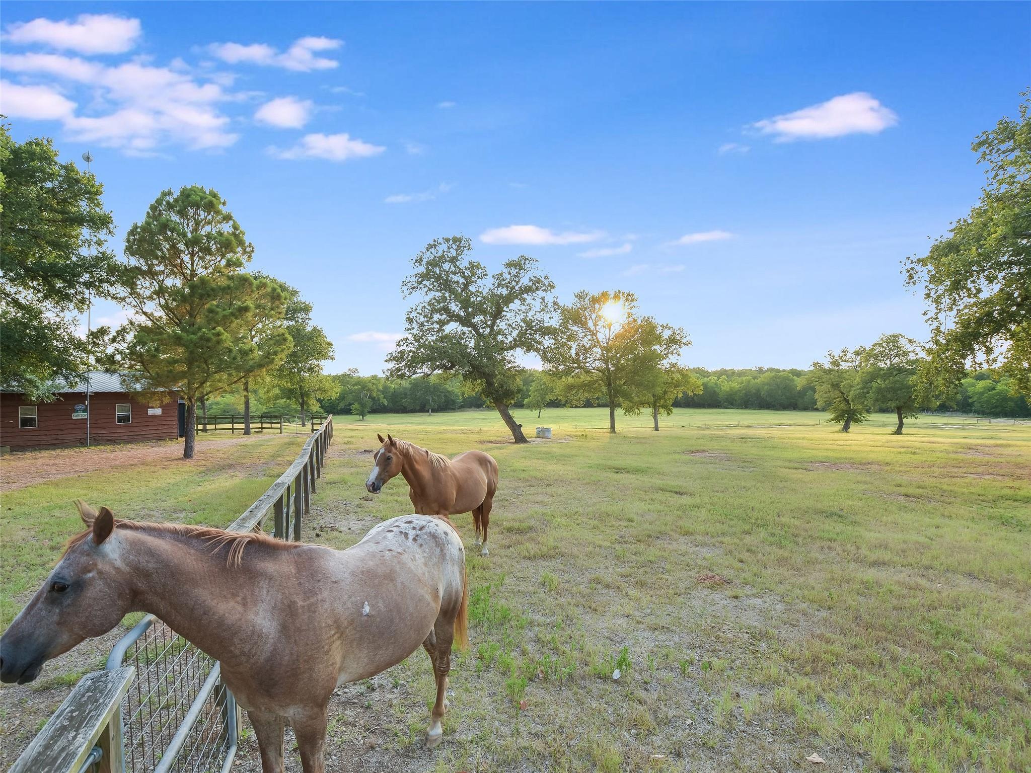 762 Karisch Rd, Giddings, TX 78942
