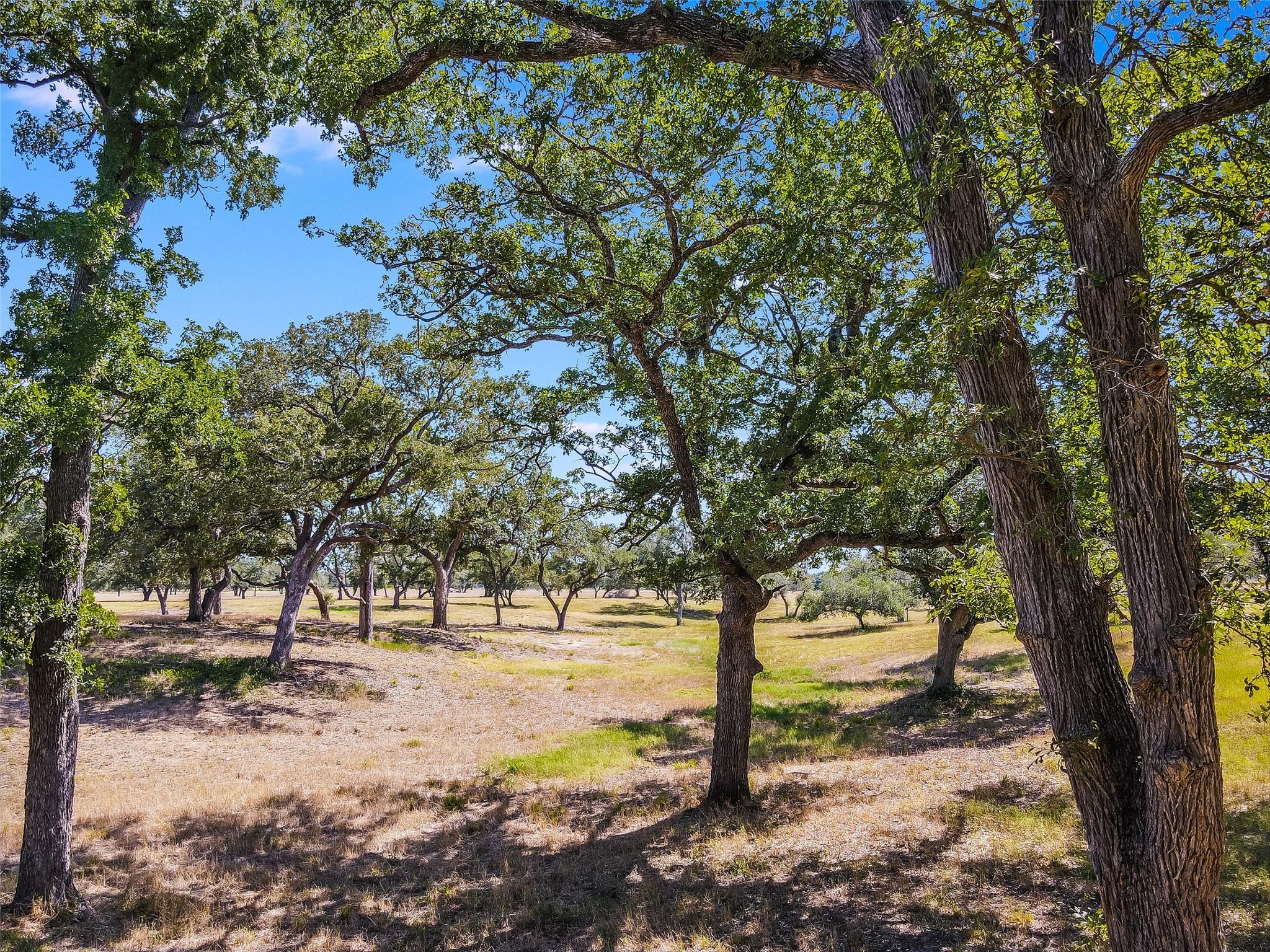 762 Karisch Rd, Giddings, TX 78942