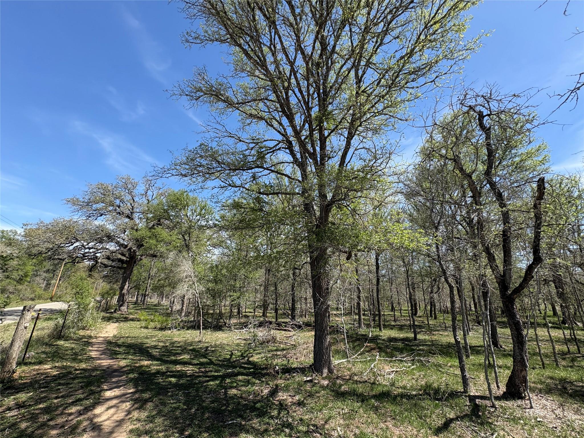 1285 Burdette Wells Rd, Lockhart, TX 78644