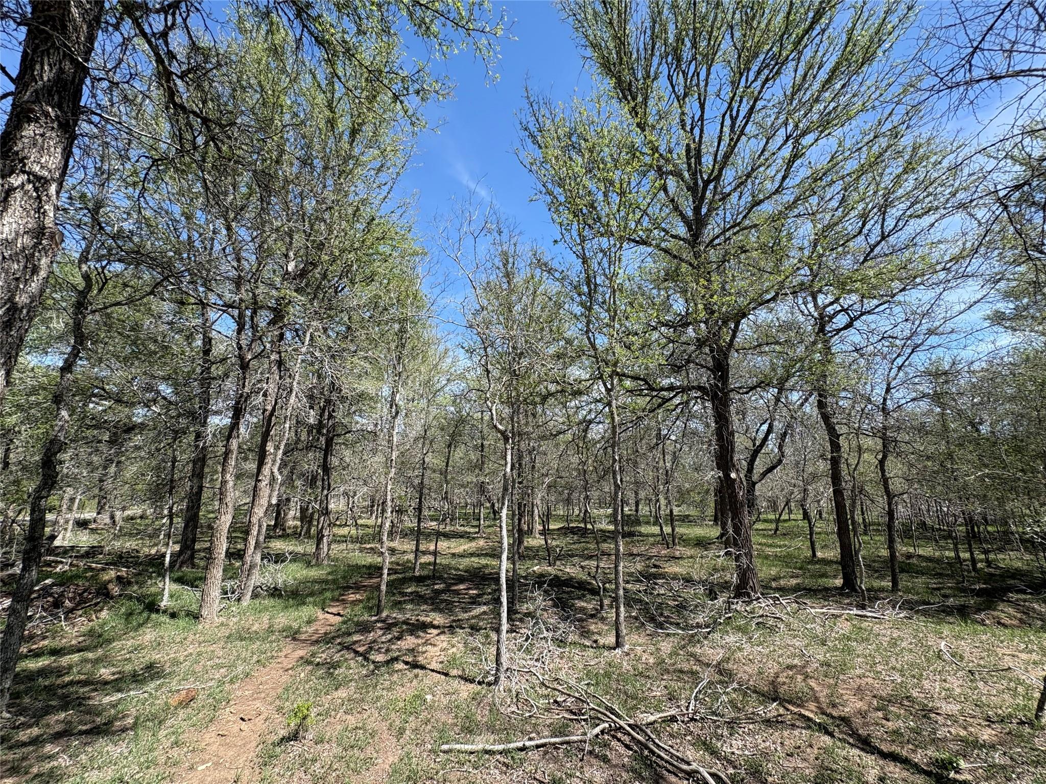 1285 Burdette Wells Rd, Lockhart, TX 78644