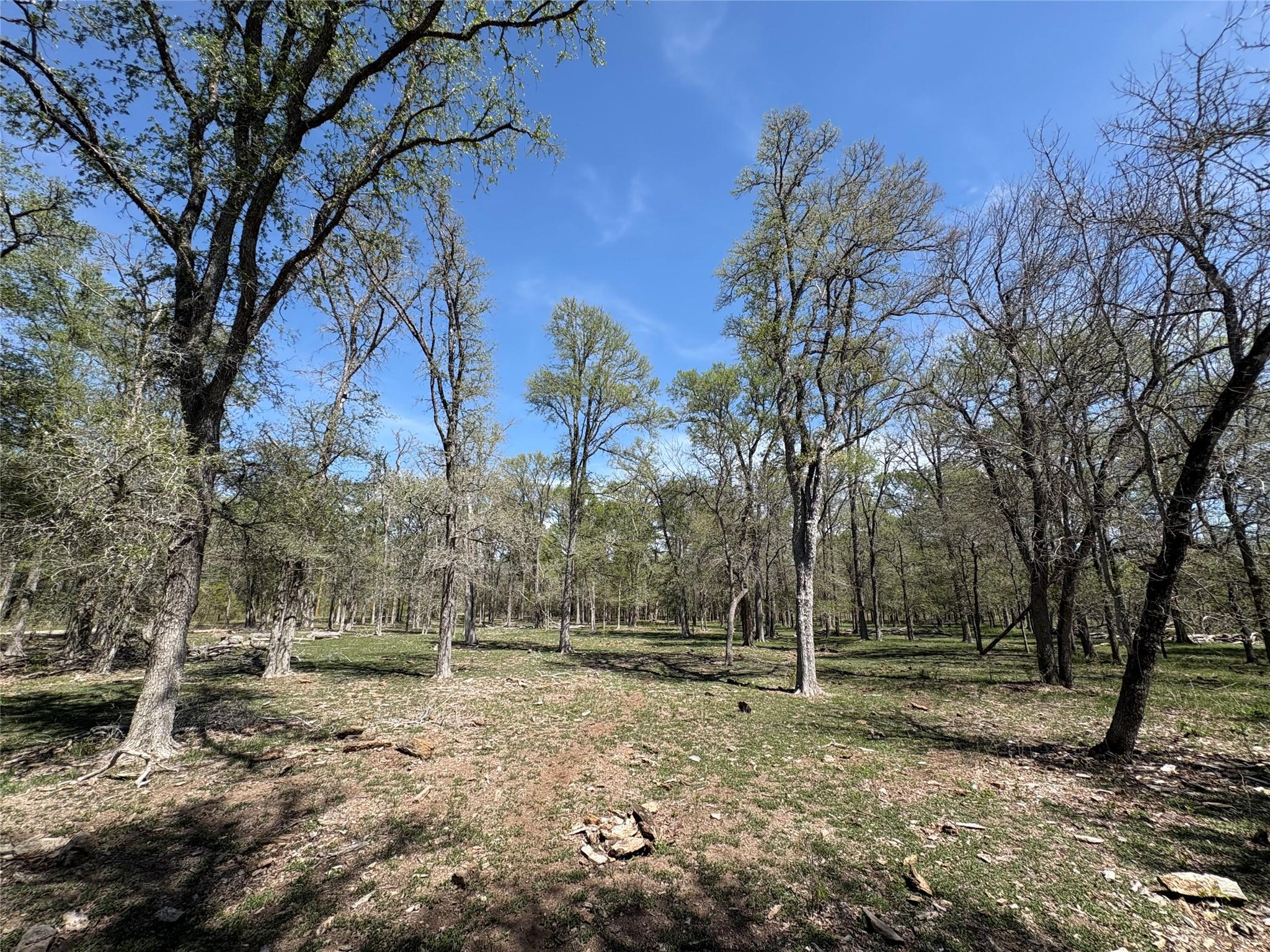 1285 Burdette Wells Rd, Lockhart, TX 78644