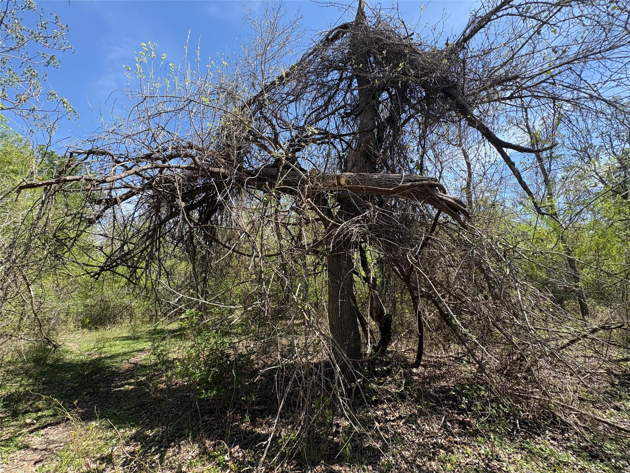 1285 Burdette Wells Rd, Lockhart, TX 78644