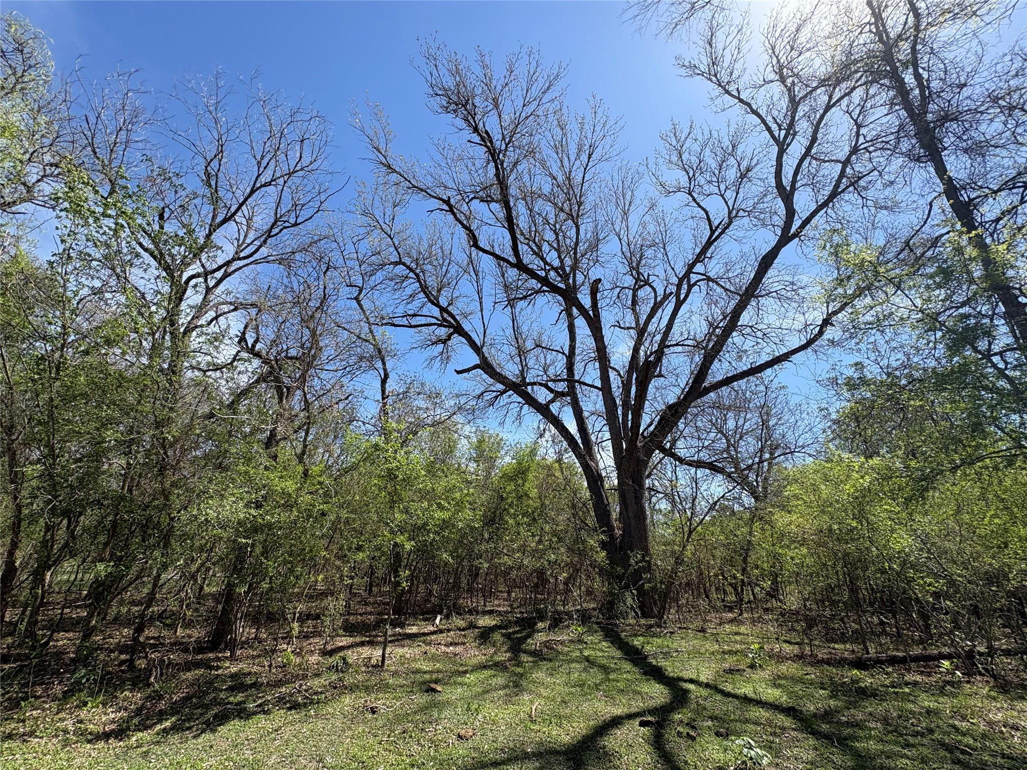 1285 Burdette Wells Rd, Lockhart, TX 78644