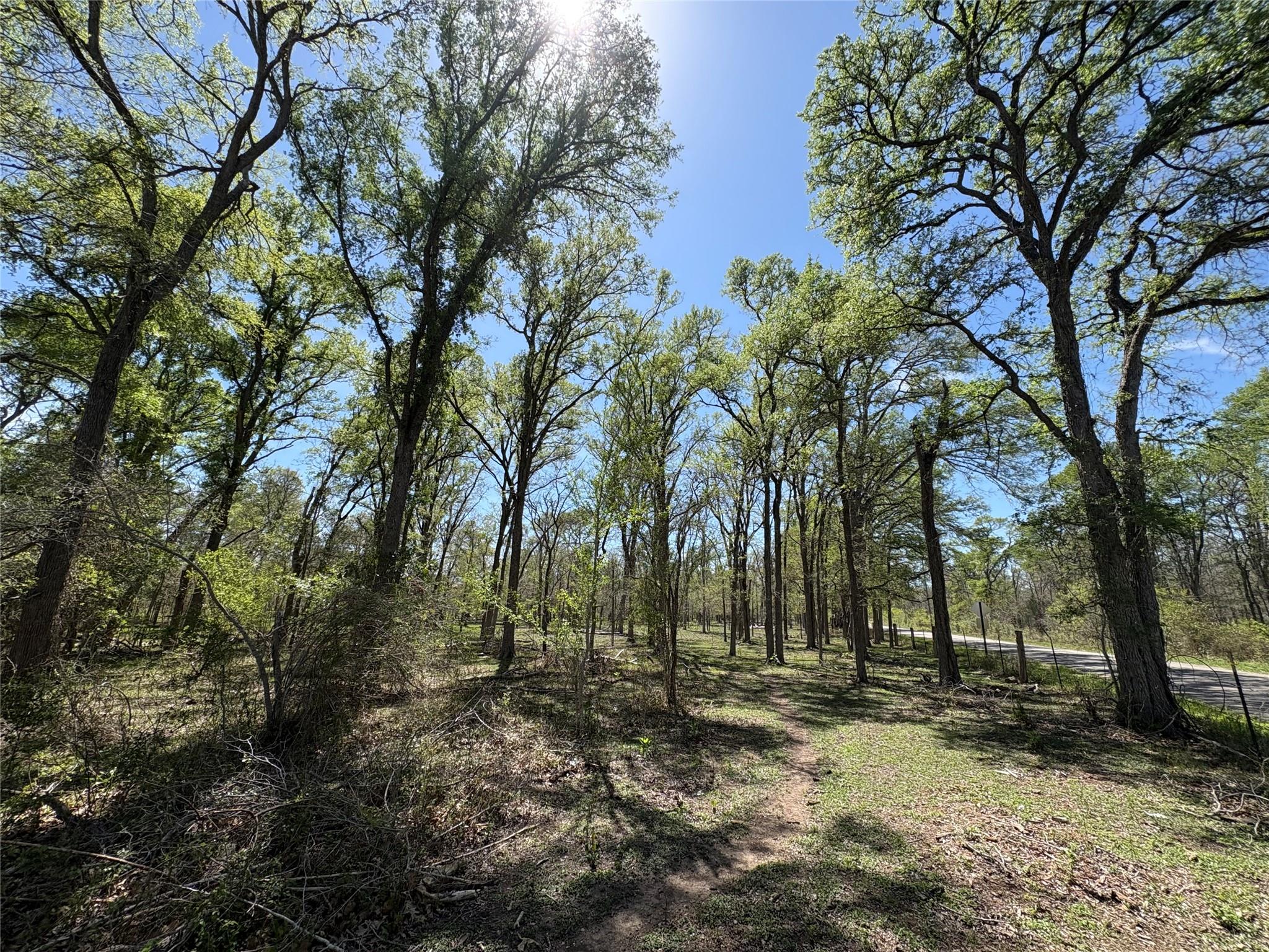 1285 Burdette Wells Rd, Lockhart, TX 78644