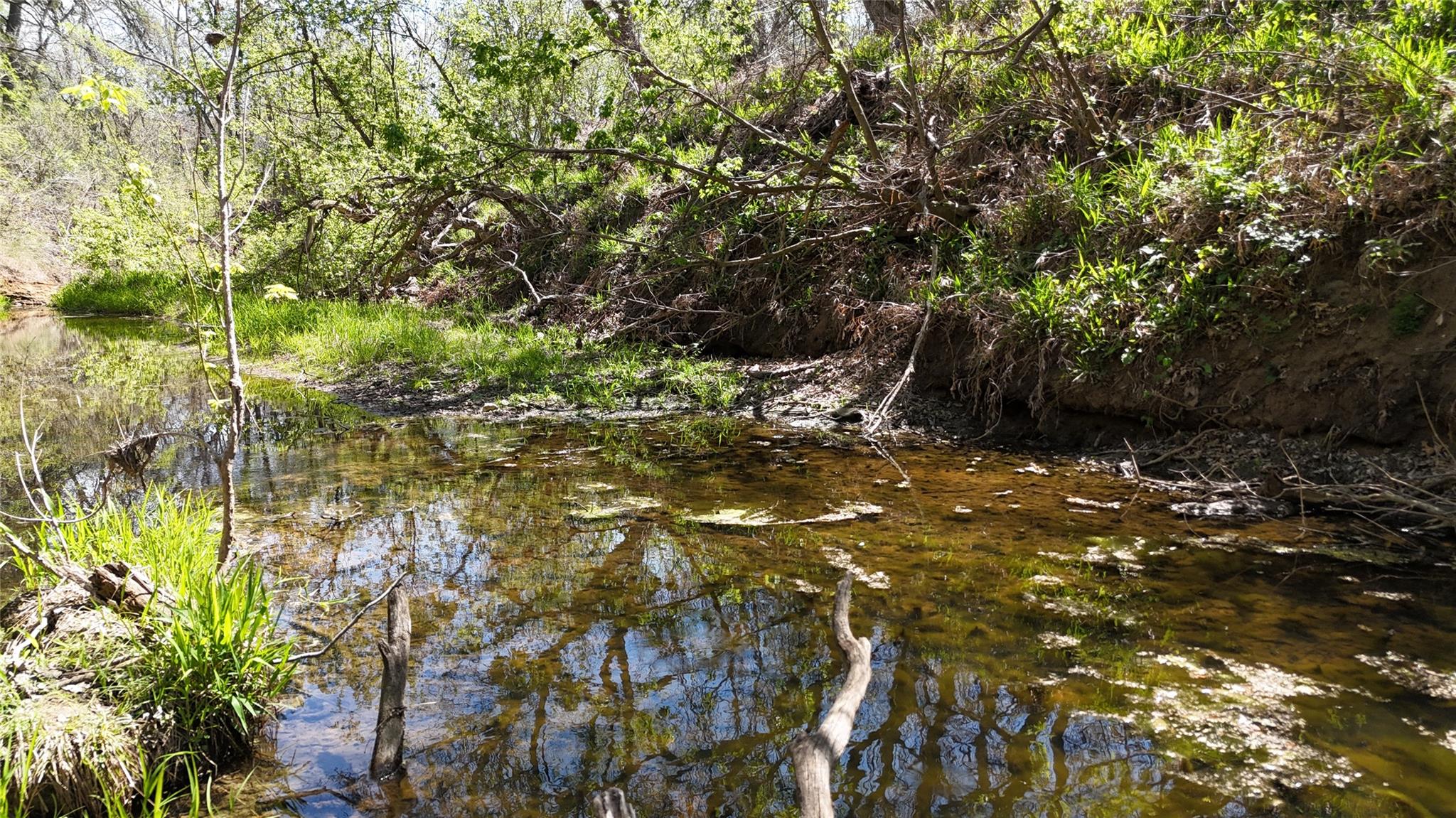 1285 Burdette Wells Rd, Lockhart, TX 78644