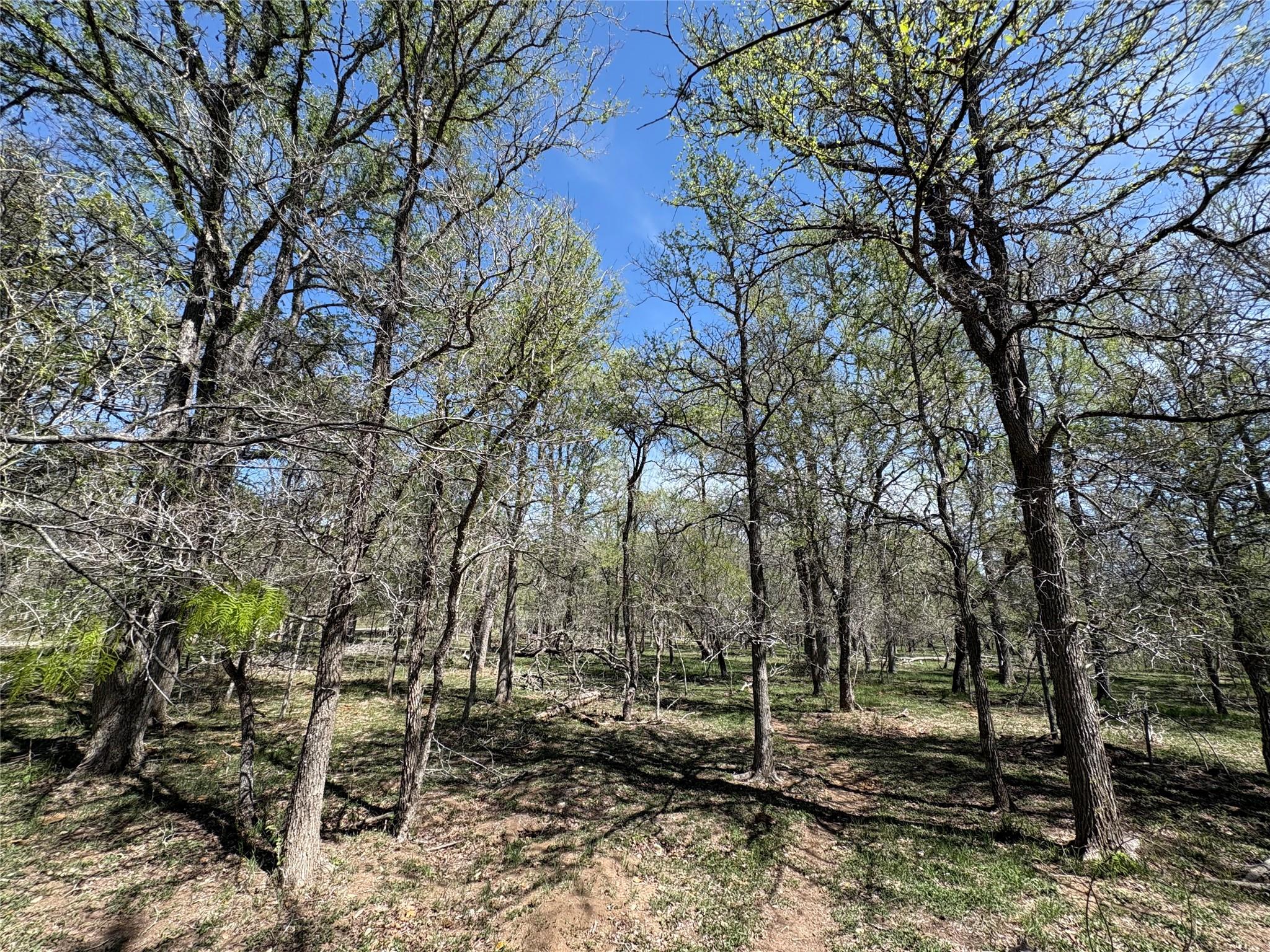 1285 Burdette Wells Rd, Lockhart, TX 78644