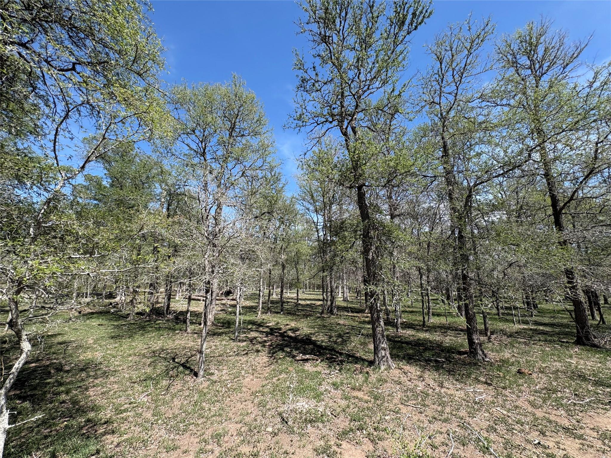 1285 Burdette Wells Rd, Lockhart, TX 78644