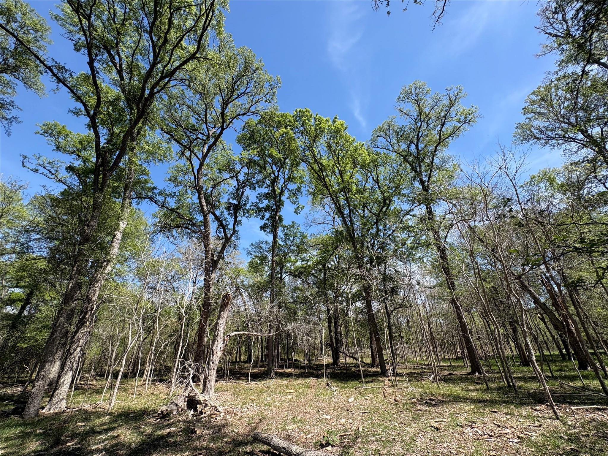 1285 Burdette Wells Rd, Lockhart, TX 78644