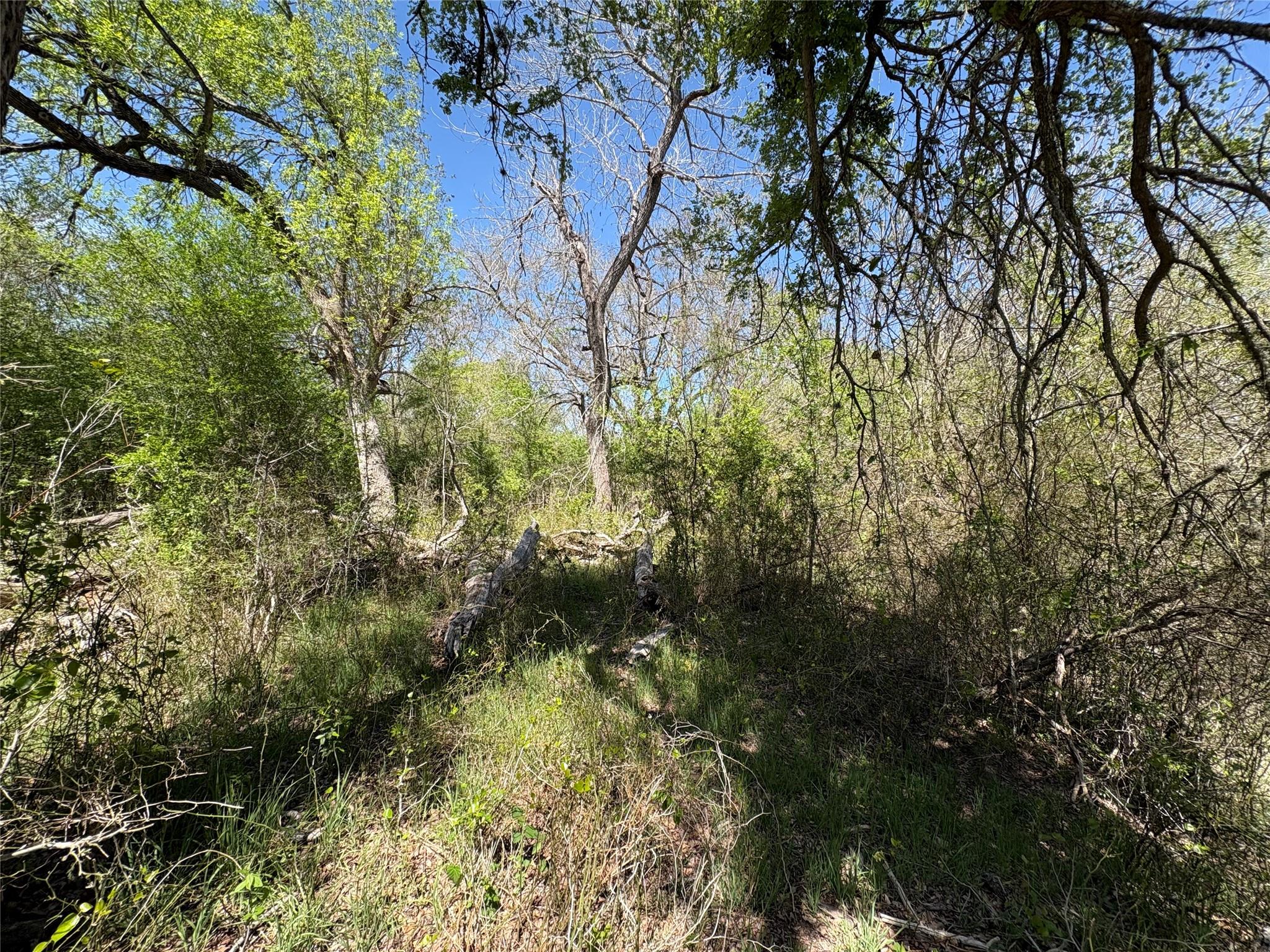 1285 Burdette Wells Rd, Lockhart, TX 78644