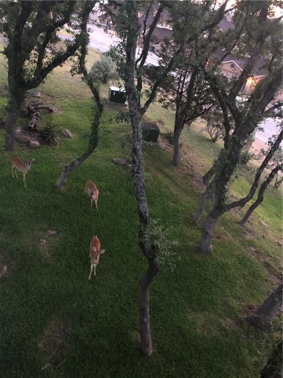 943 Parkview Dr # C6, Canyon Lake, TX 78133