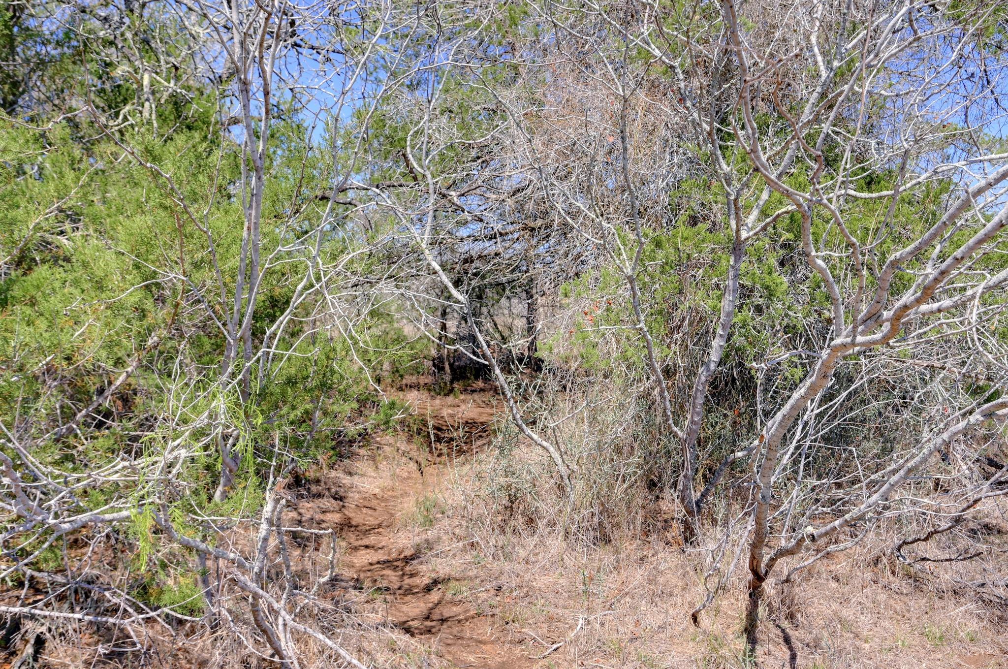 000 Cr 397, Waelder, TX 78959