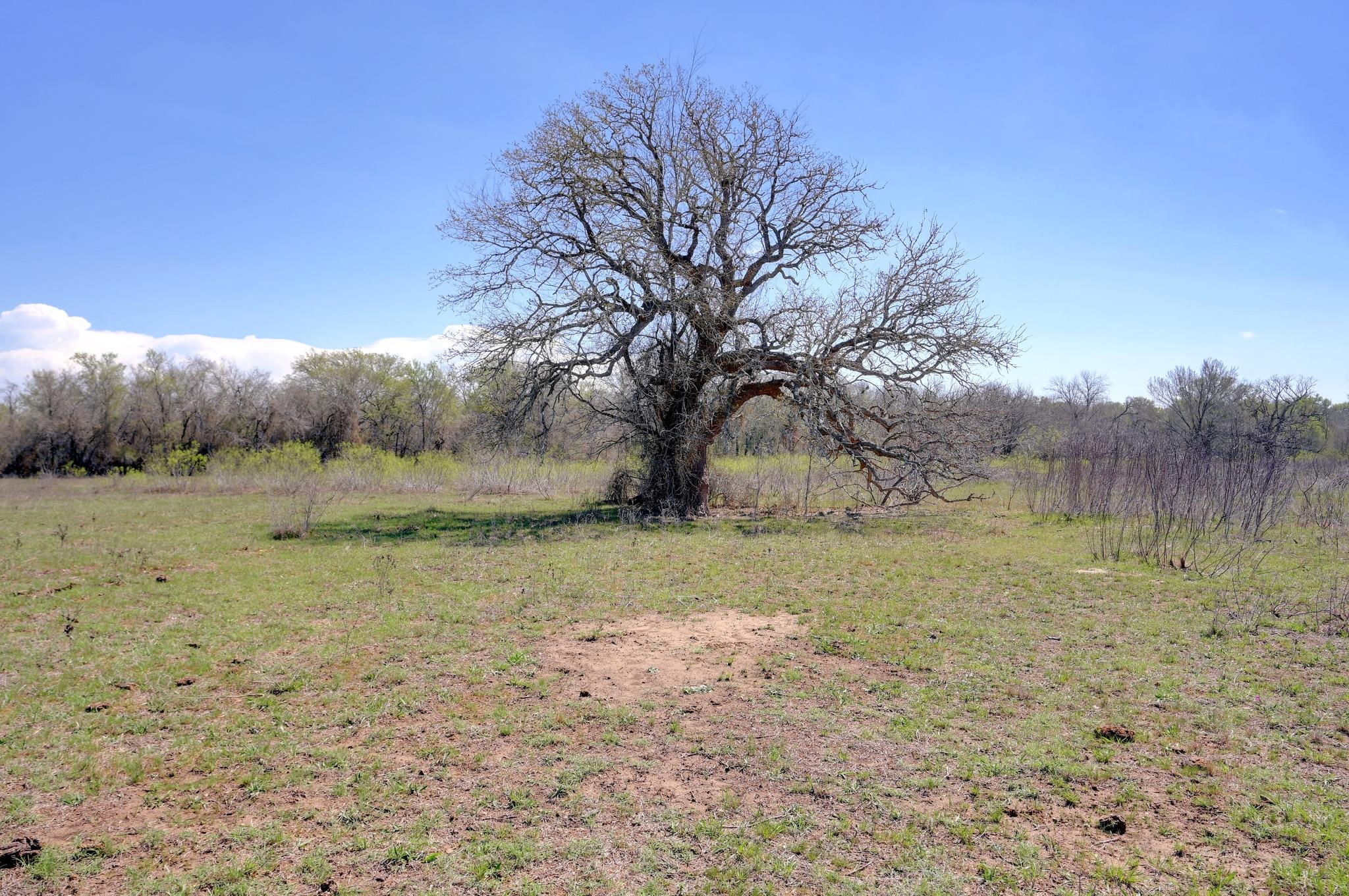 000 Cr 397, Waelder, TX 78959