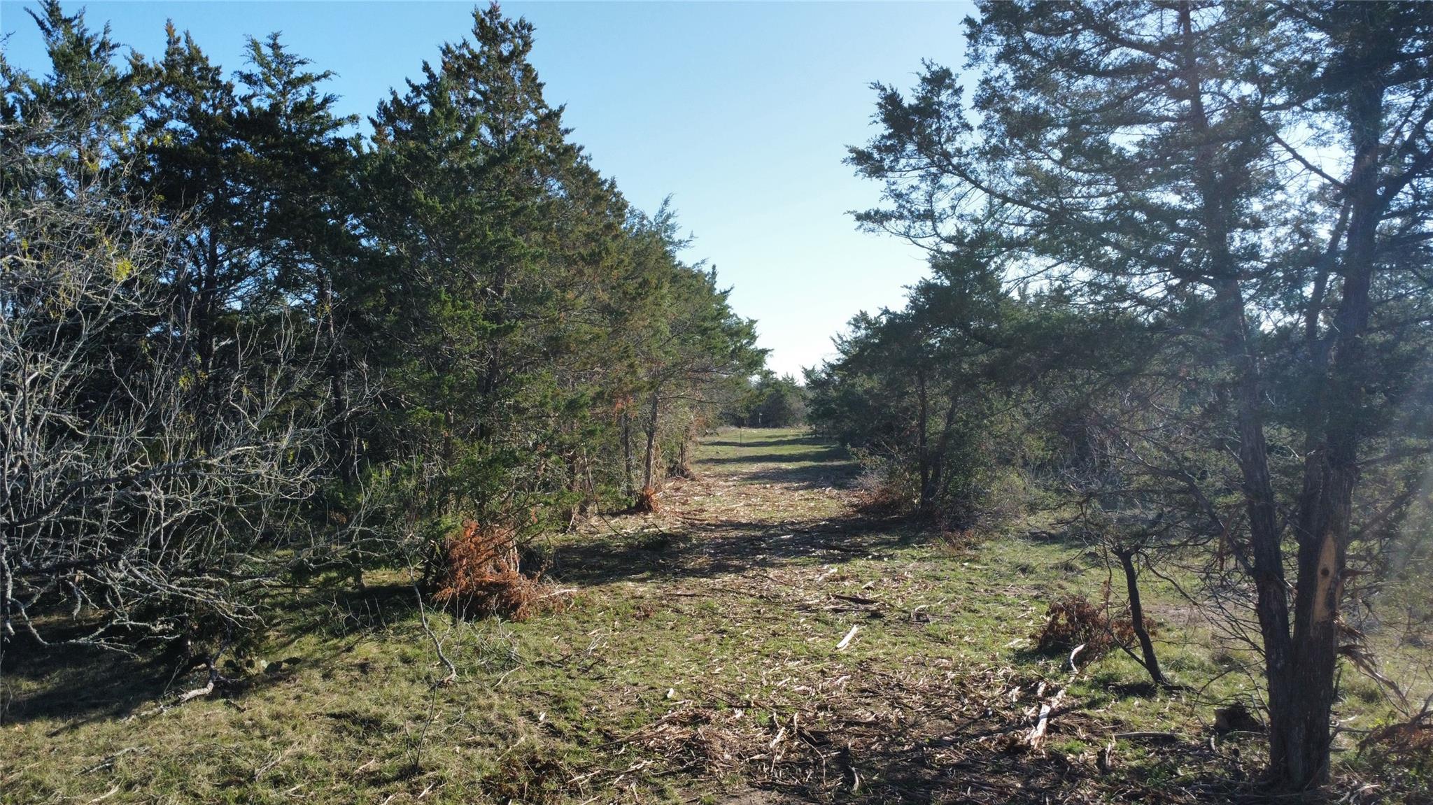 TBD Lot 19 Kovar Rd, Smithville, TX 78957