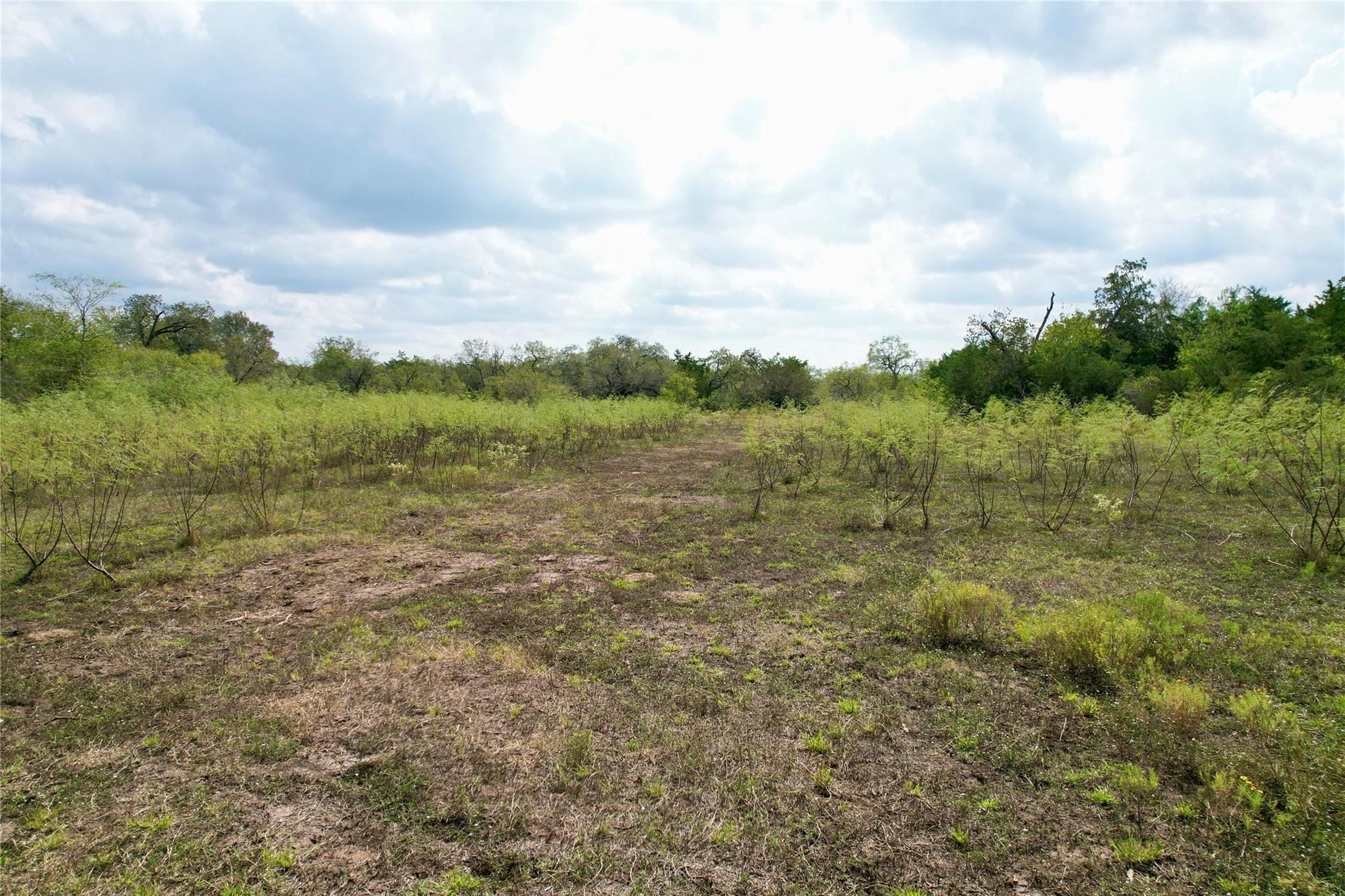 TBD Lot 19 Kovar Rd, Smithville, TX 78957