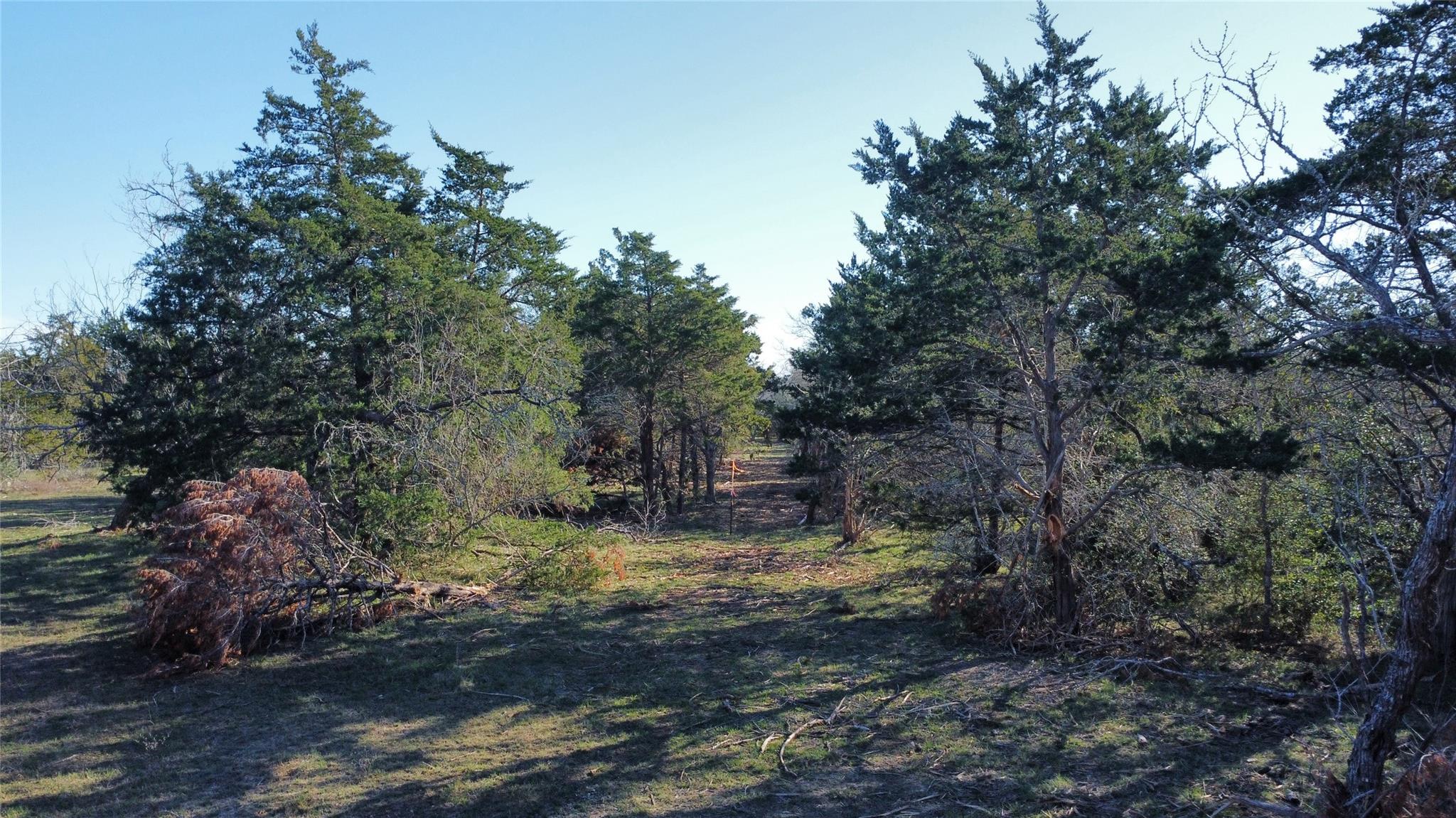 TBD Lot 19 Kovar Rd, Smithville, TX 78957