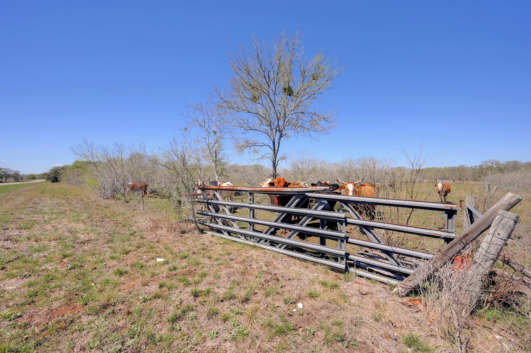 000 FM 2814, Waelder, TX 78959