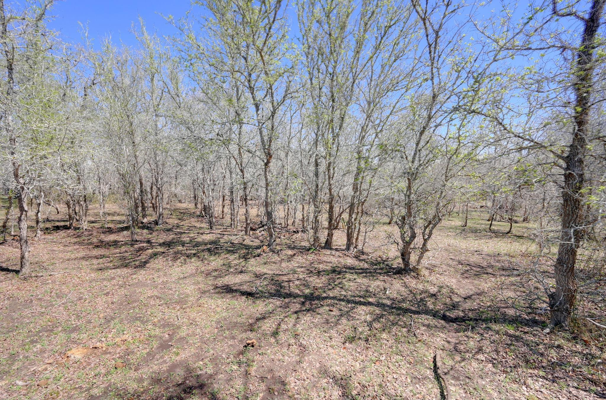 000 FM 2814, Waelder, TX 78959