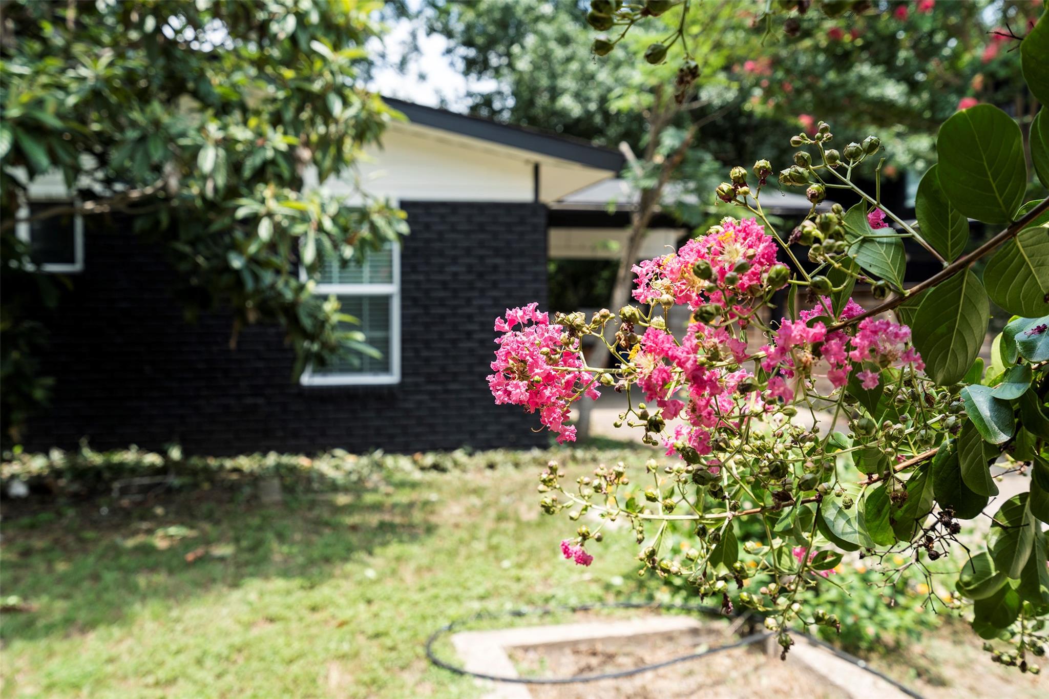 3002 Brinwood Ave, Austin, TX 78704