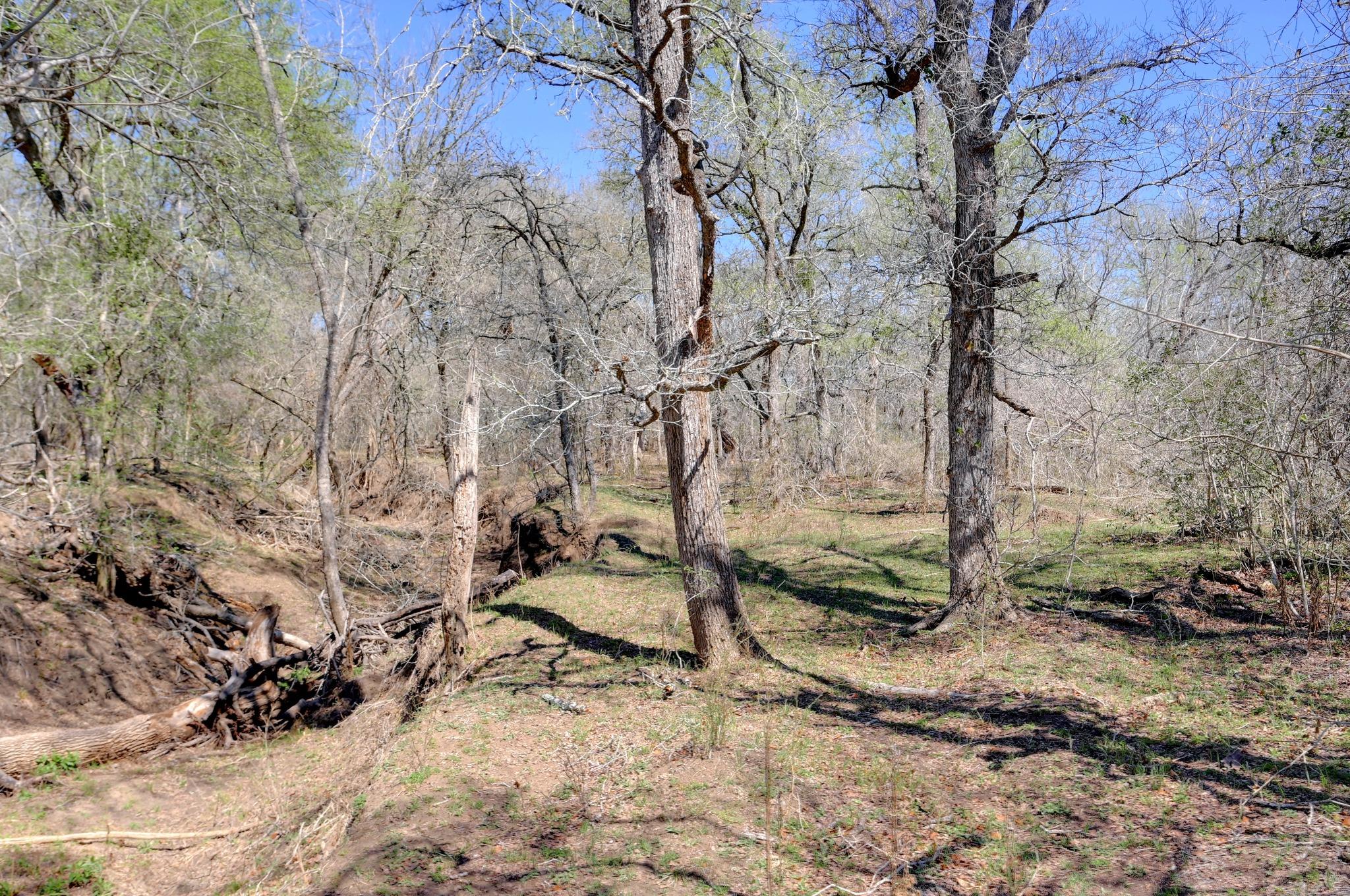 000 Cr 420, Waelder, TX 78959