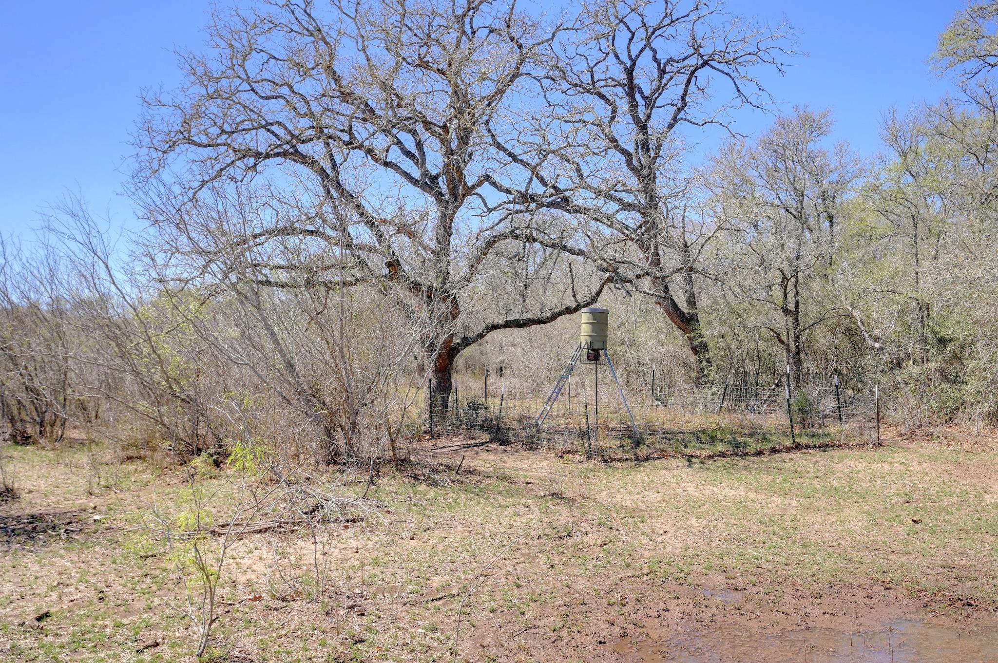 000 Cr 420, Waelder, TX 78959