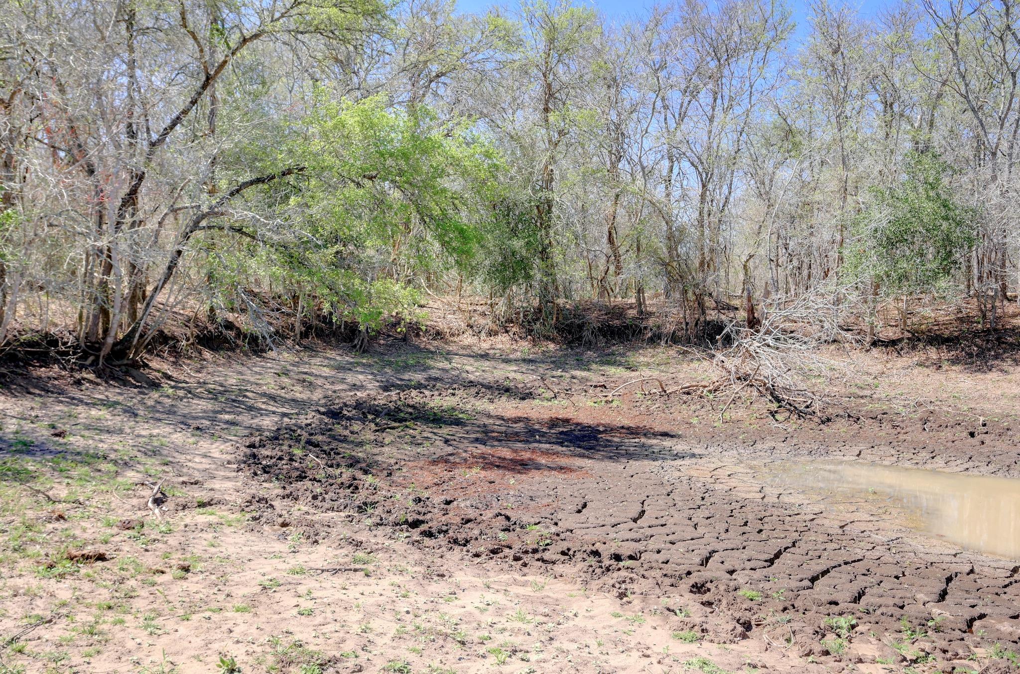 000 Cr 420, Waelder, TX 78959