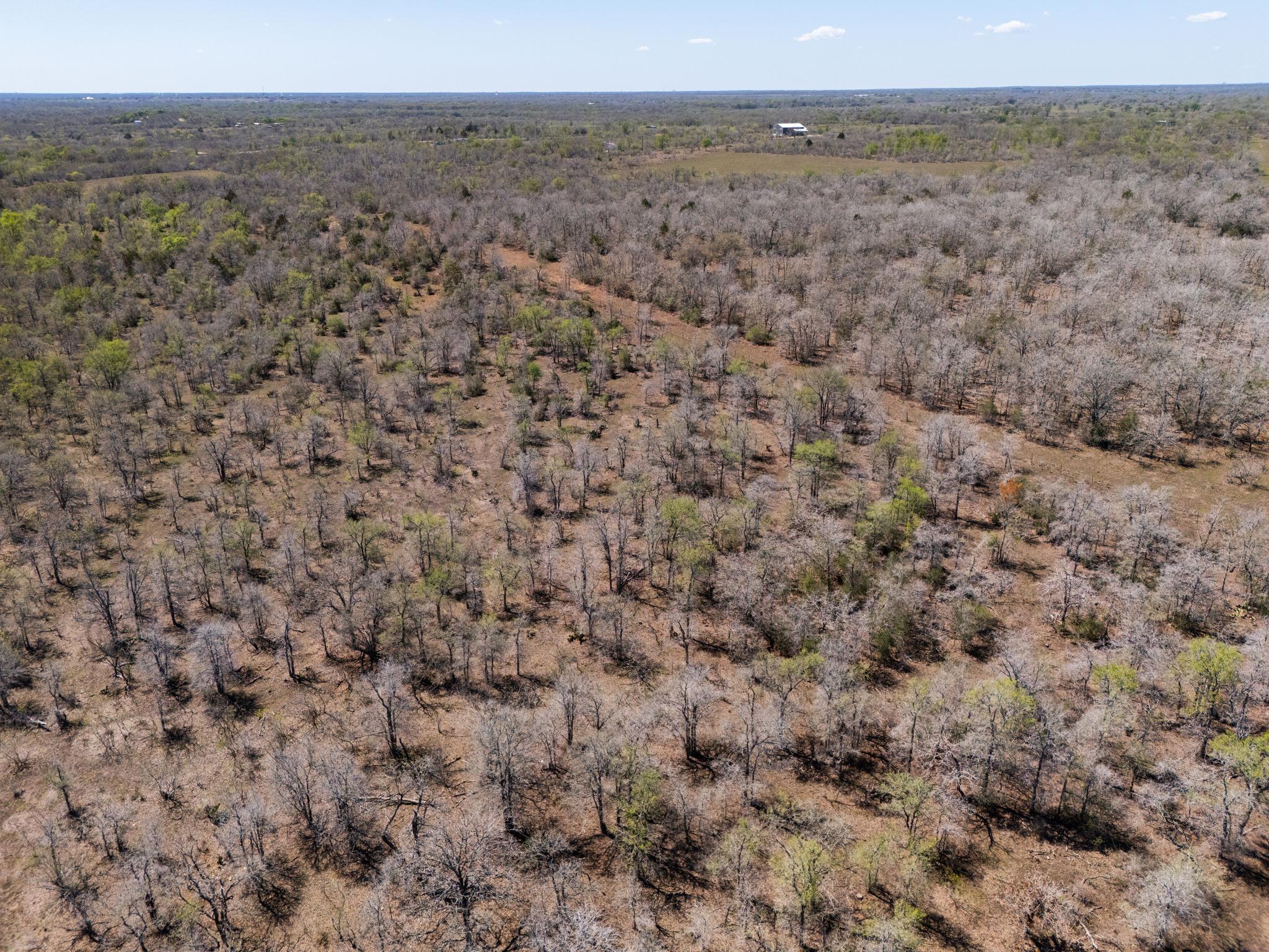 000 Cr 420, Waelder, TX 78959