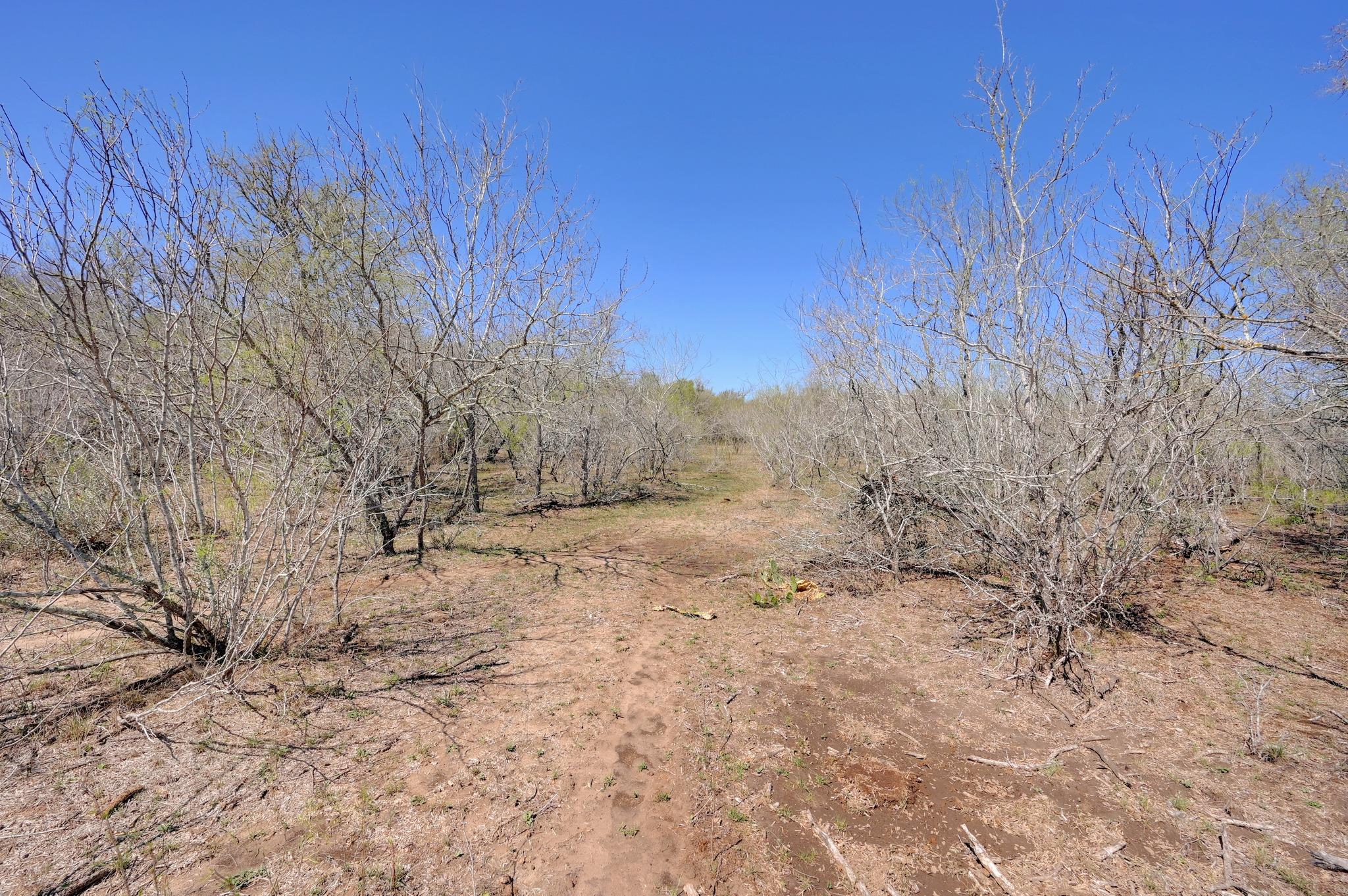 000 Cr 420, Waelder, TX 78959