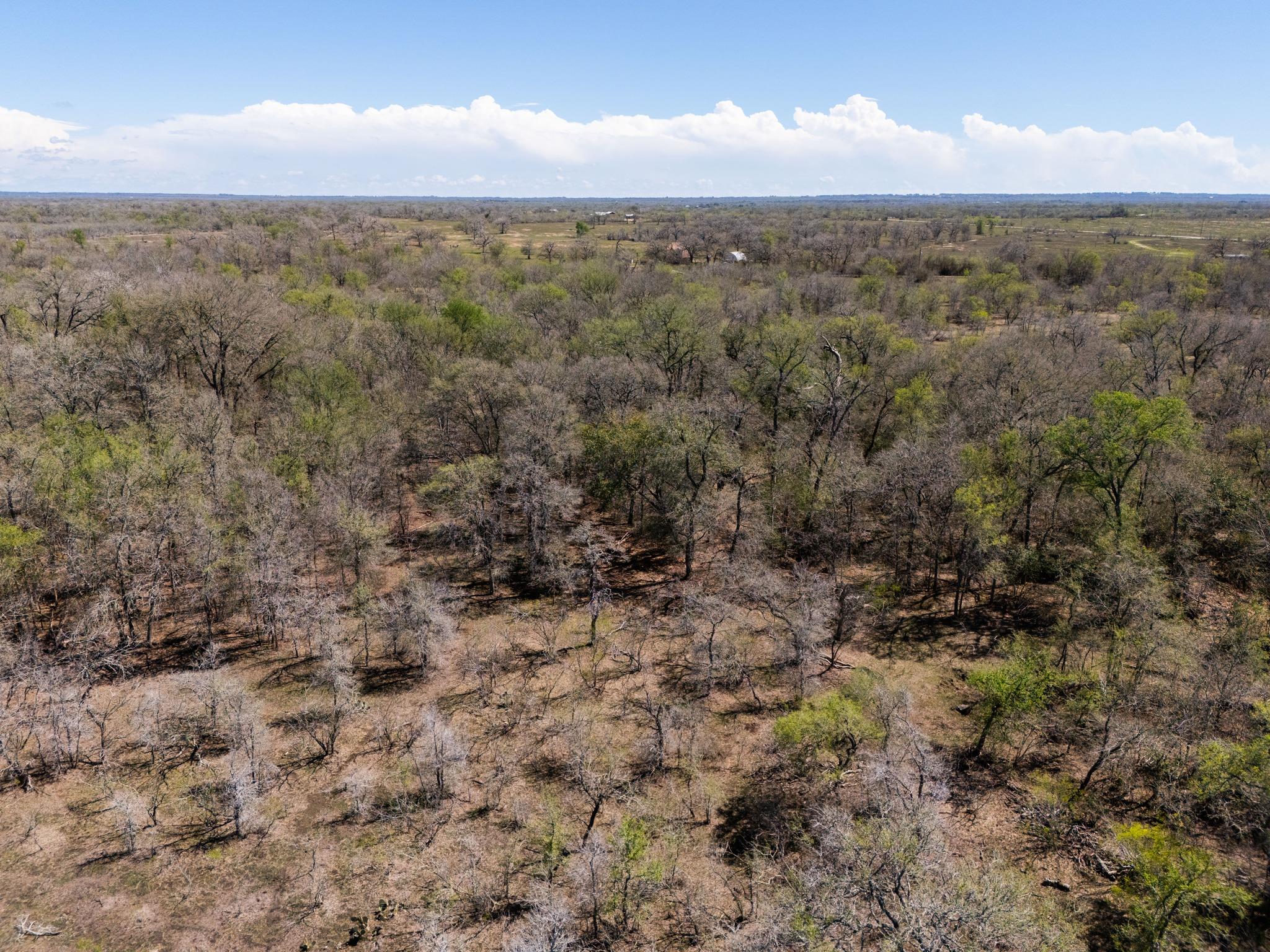 000 Cr 420, Waelder, TX 78959