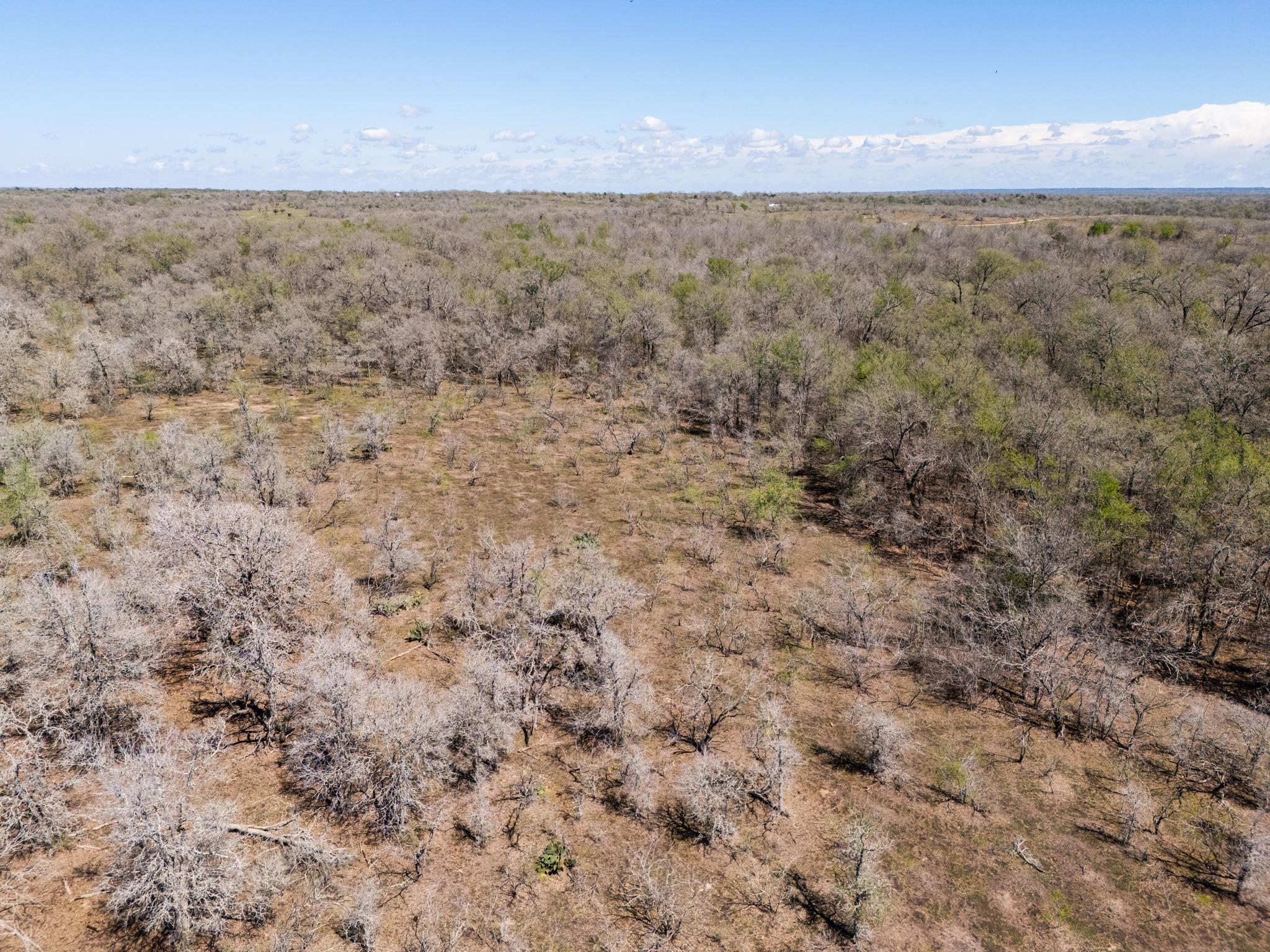 000 Cr 420, Waelder, TX 78959