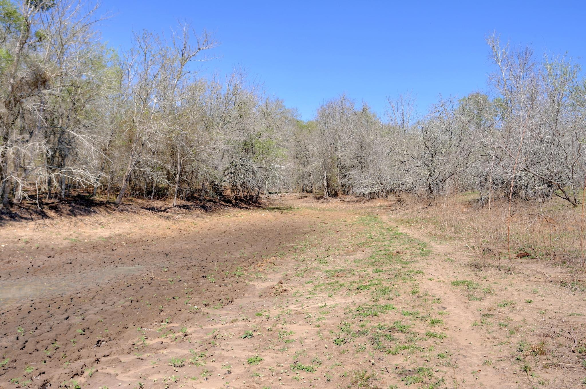 000 Cr 420, Waelder, TX 78959