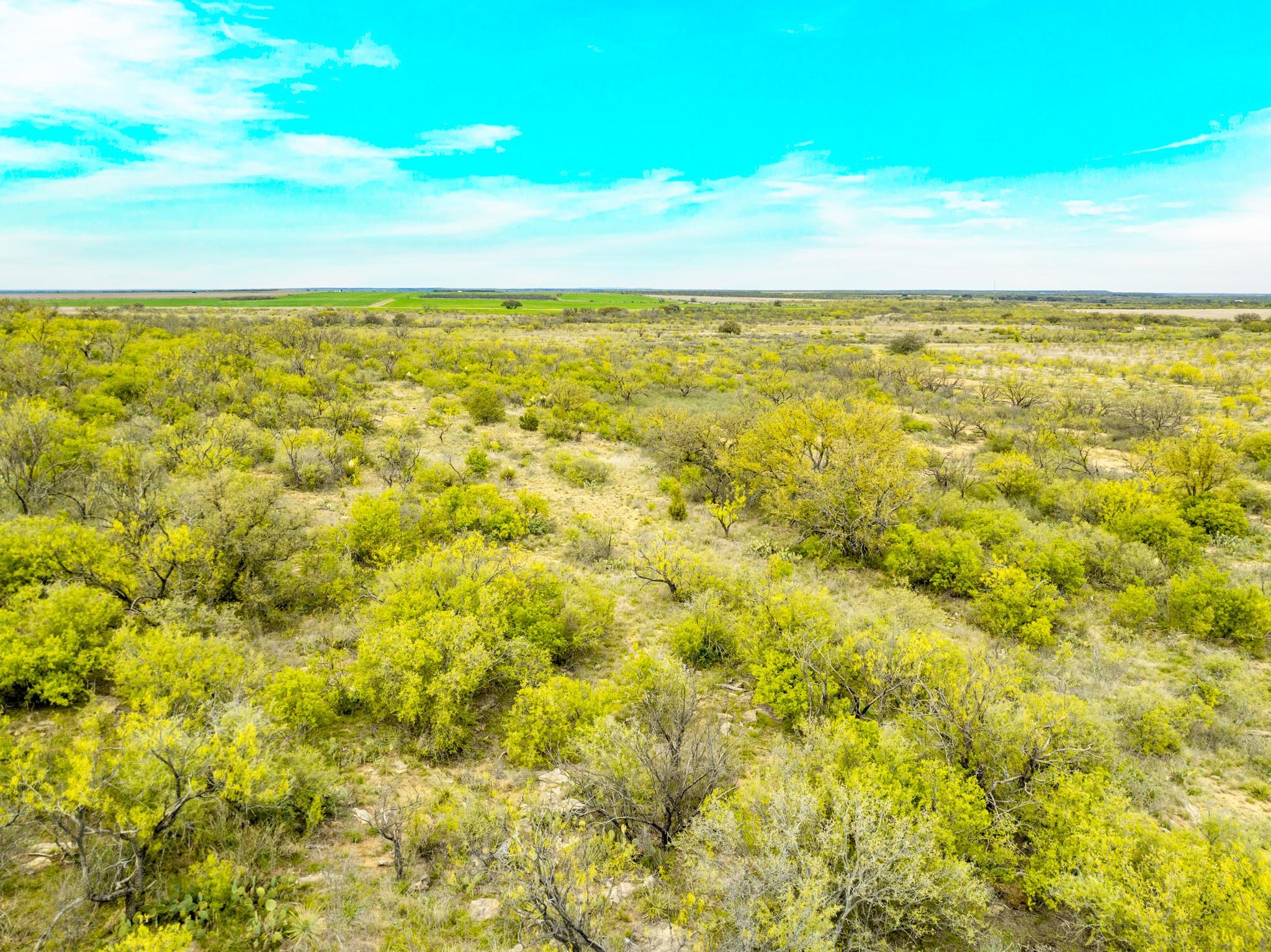 117 Private Road 541, Brady, TX 76852