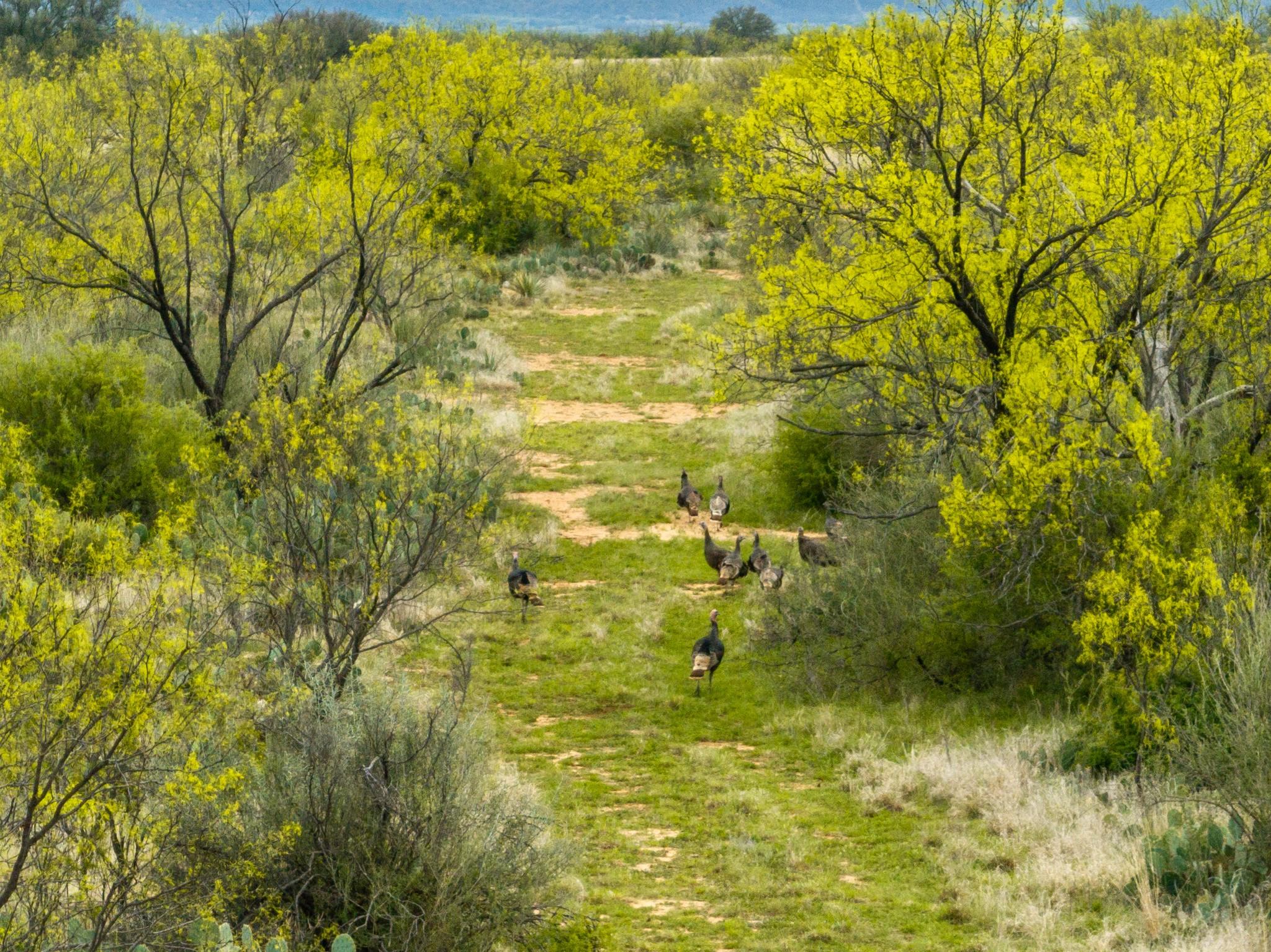 117 Private Road 541, Brady, TX 76852