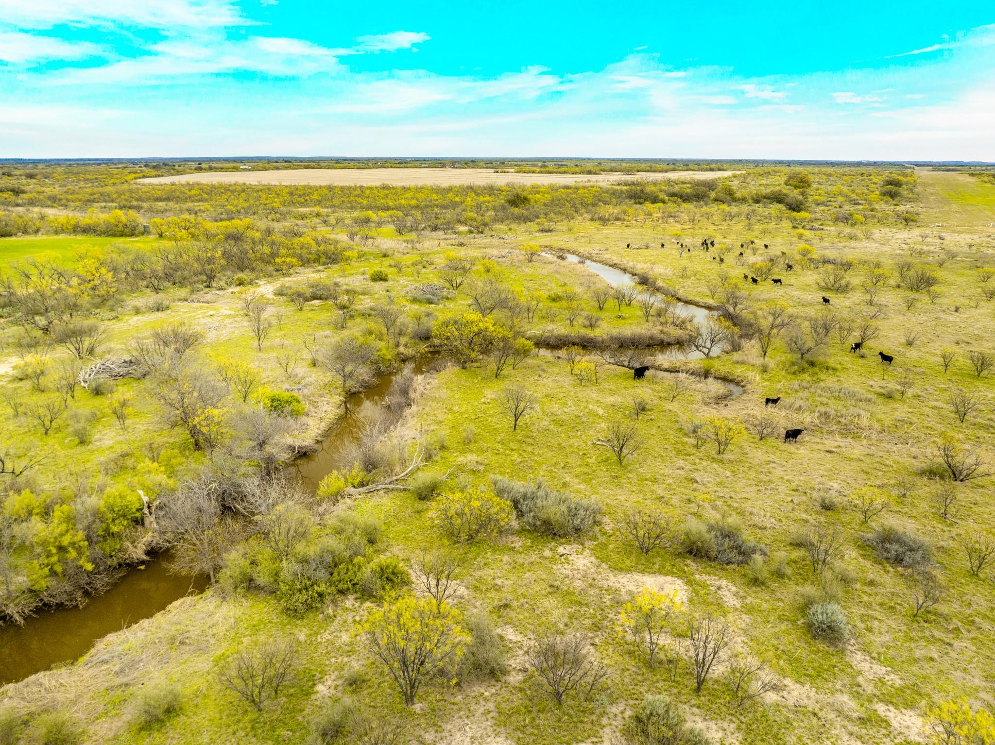 117 Private Road 541, Brady, TX 76852