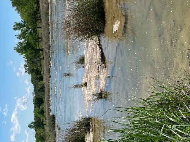 158 One River Pt E, Johnson City, TX 78636