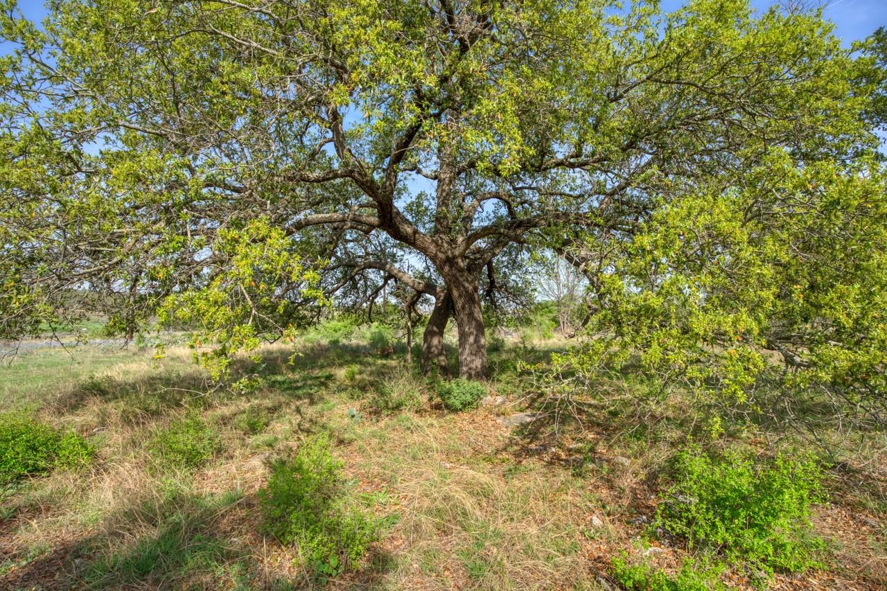 158 One River Pt E, Johnson City, TX 78636