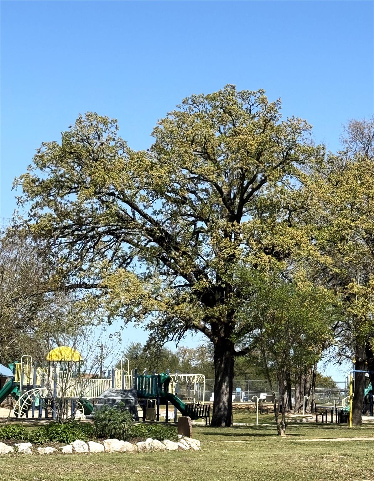 Rockdale, TX 76567