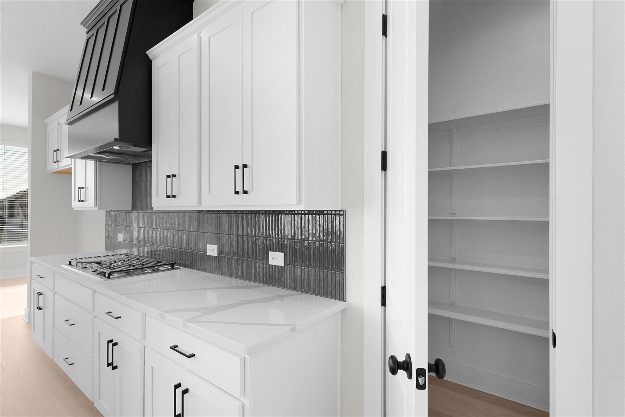 117 Beautiful Wisdom Ct, Georgetown, TX 78628