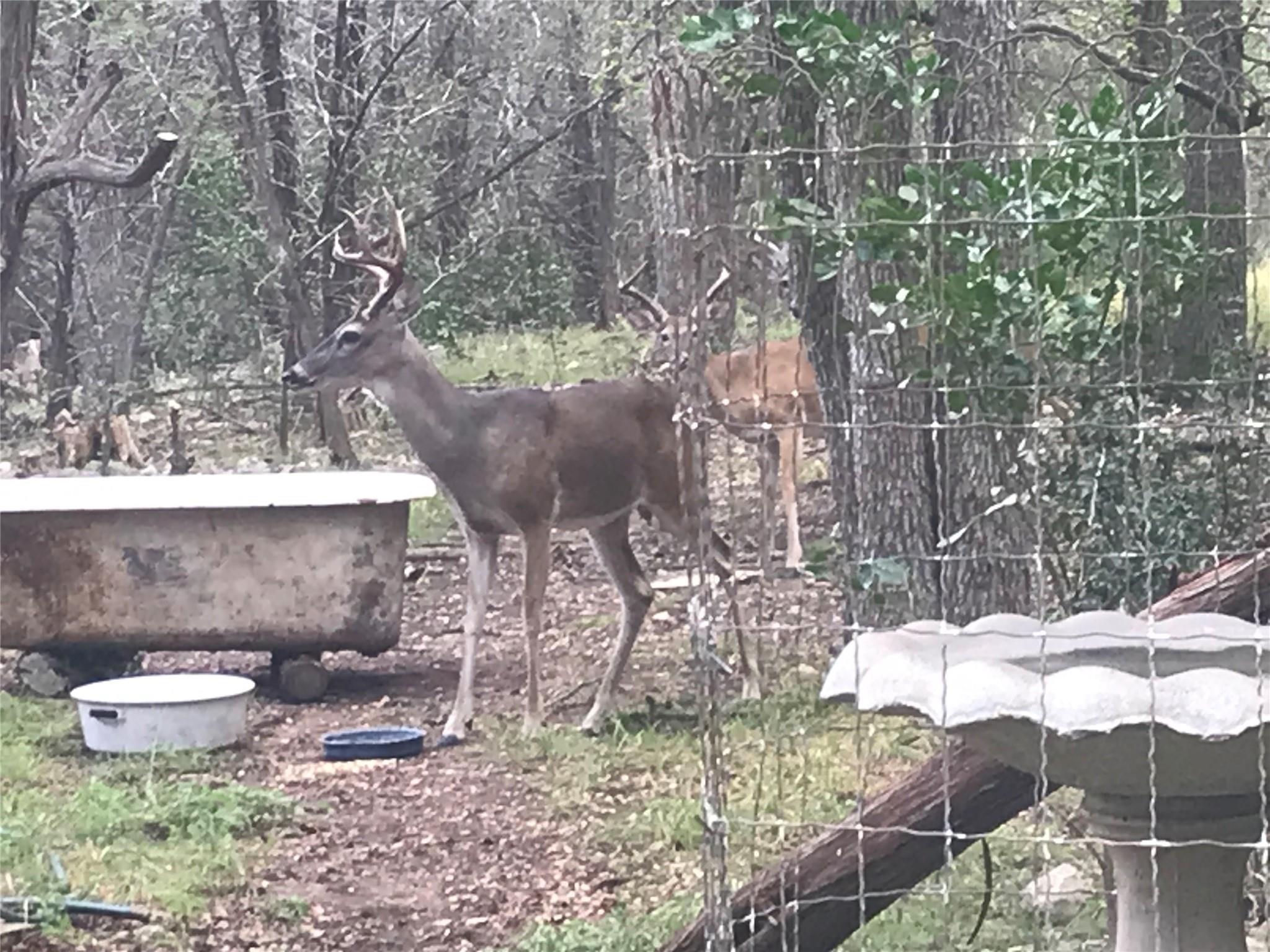 907 Deertrail Dr, San Marcos, TX 78666