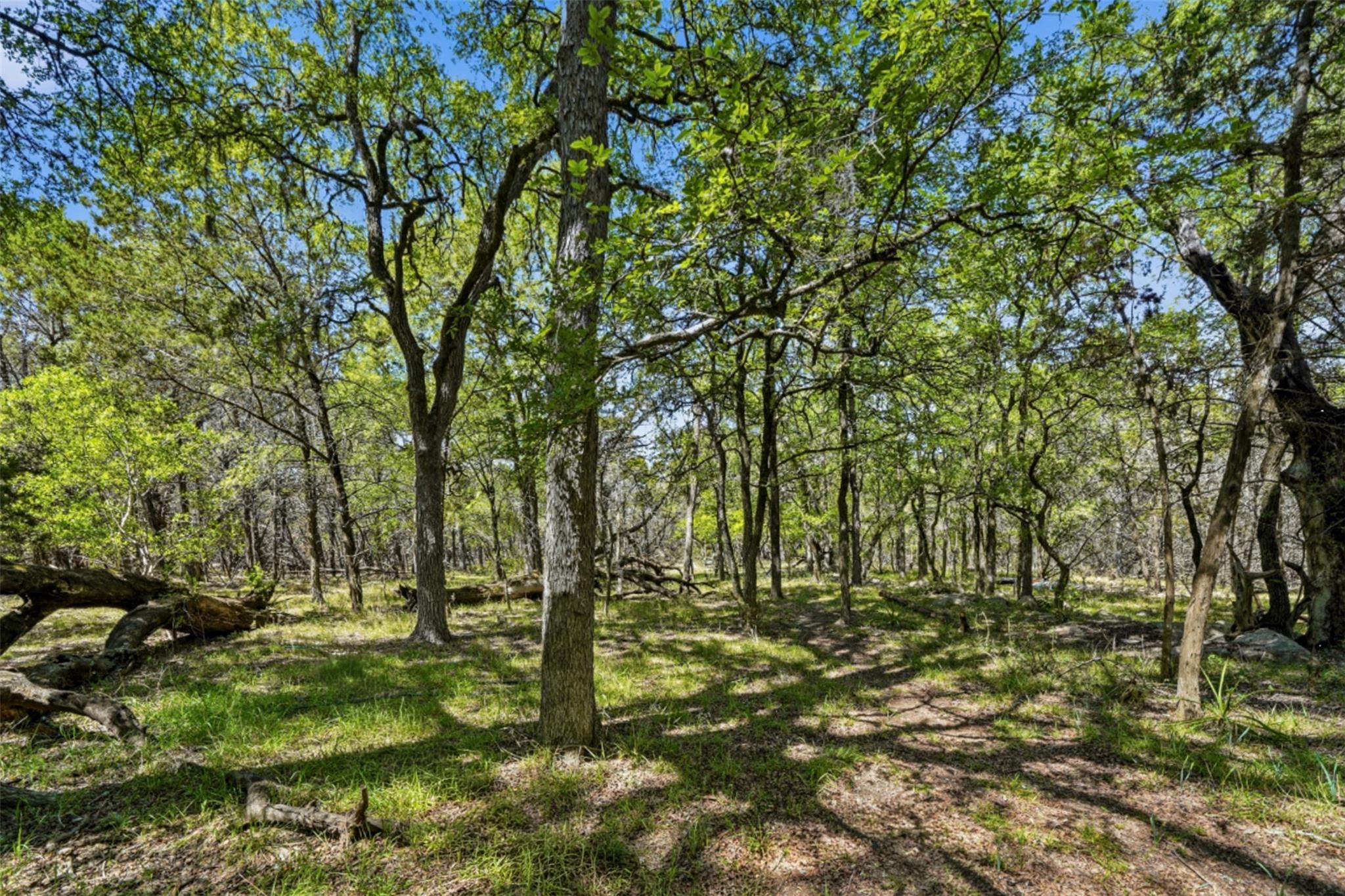 907 Deertrail Dr, San Marcos, TX 78666