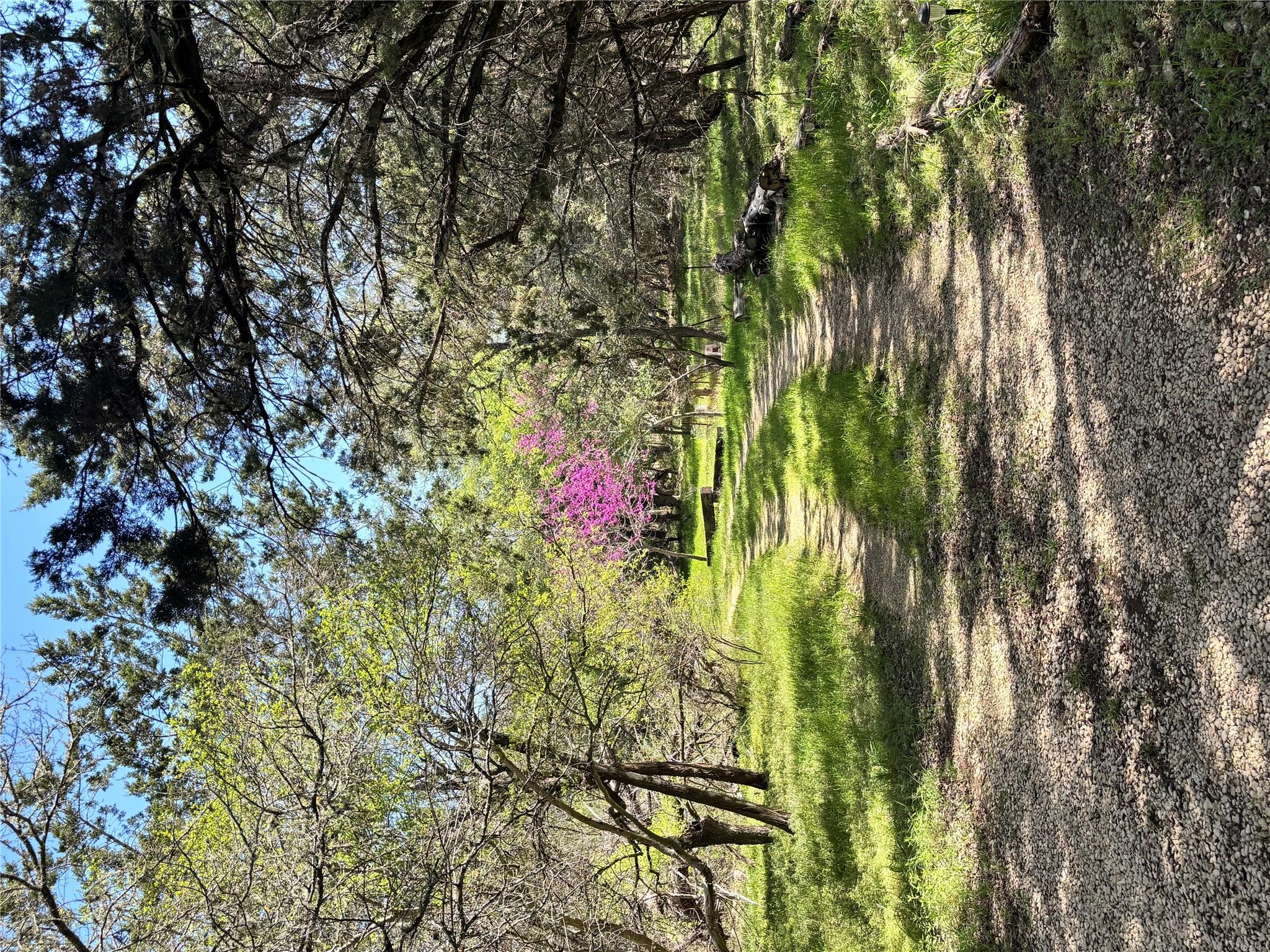 907 Deertrail Dr, San Marcos, TX 78666