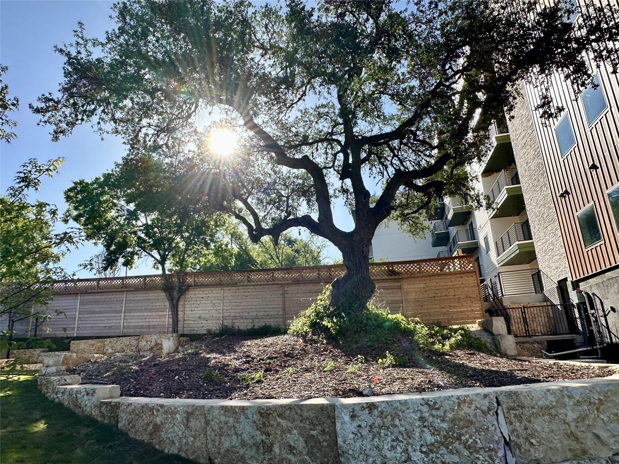 4802 S Congress Ave # 310, Austin, TX 78745